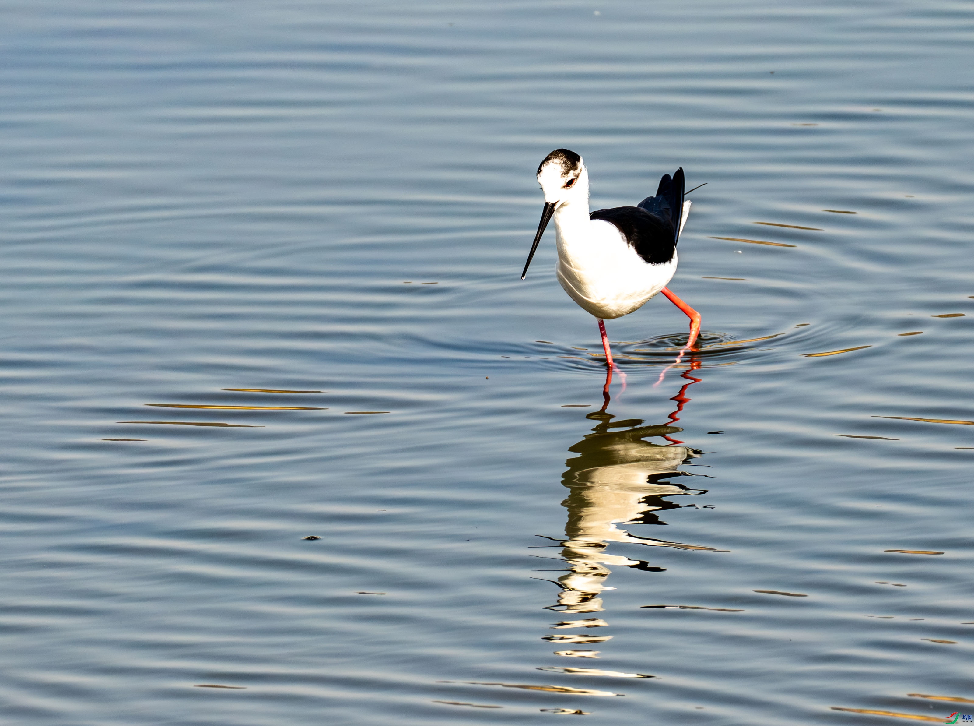 �ڳ᳤���� (12 - 21).jpg