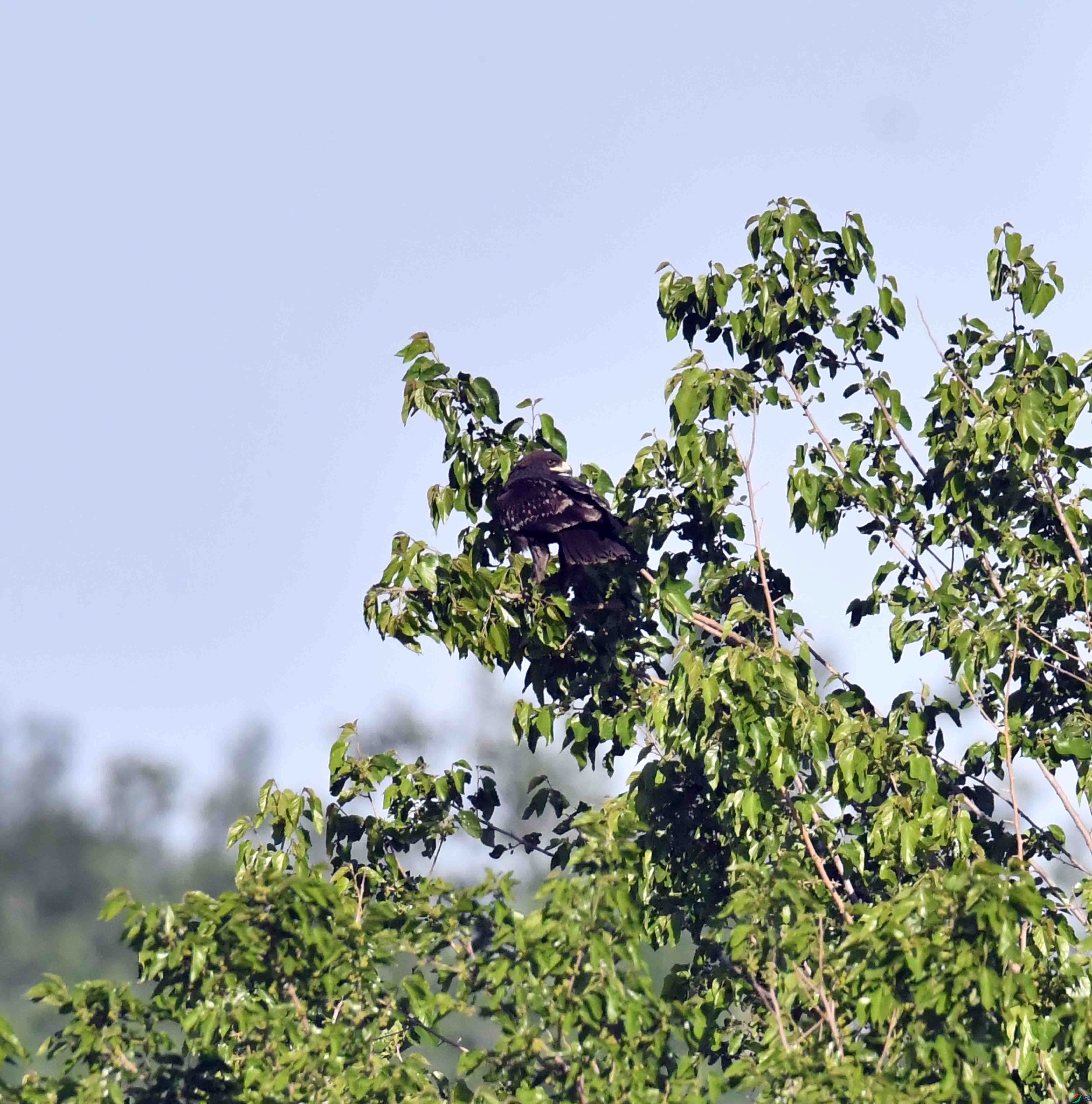 DSC_9143.JPG