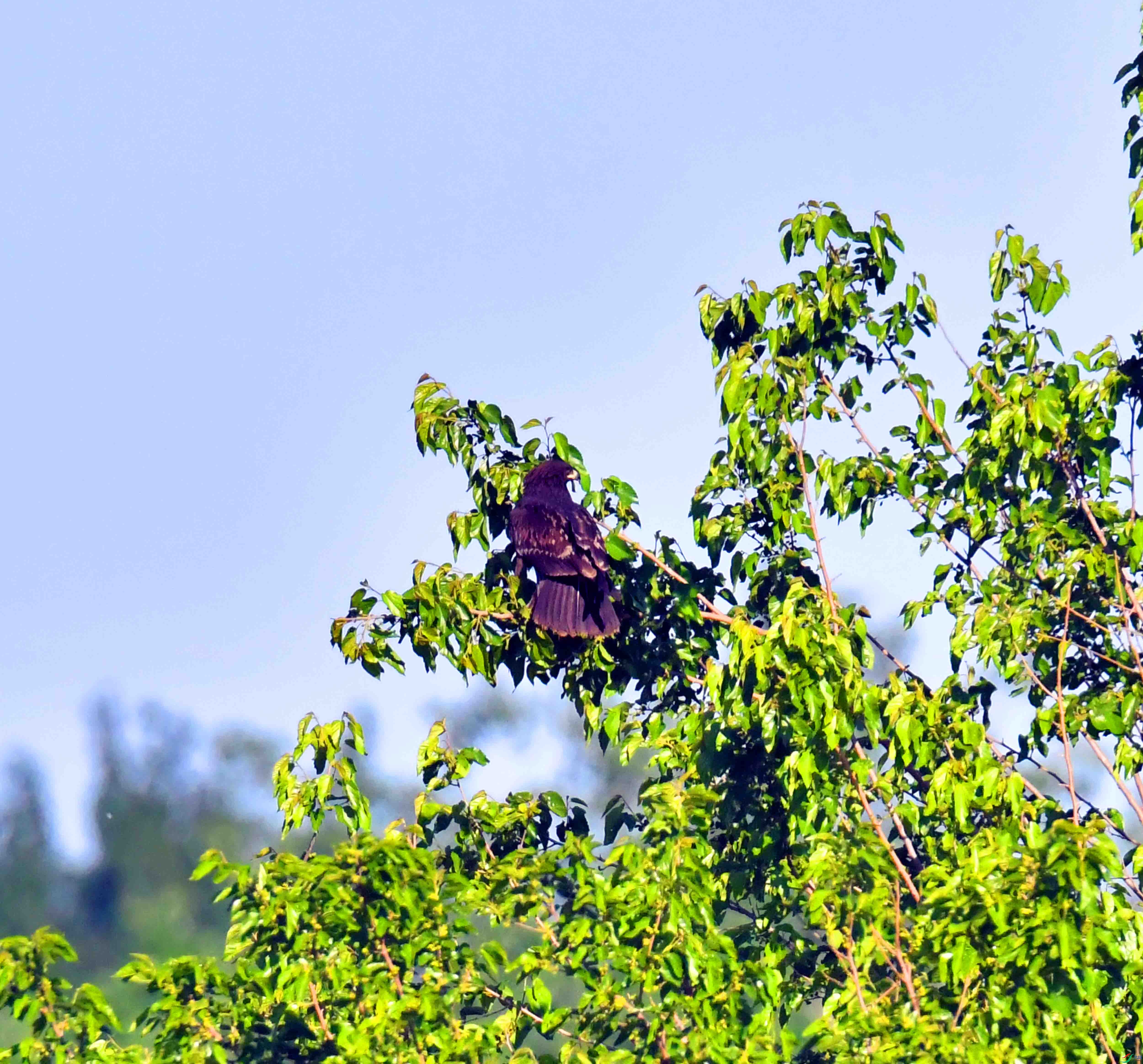 DSC_9151.JPG