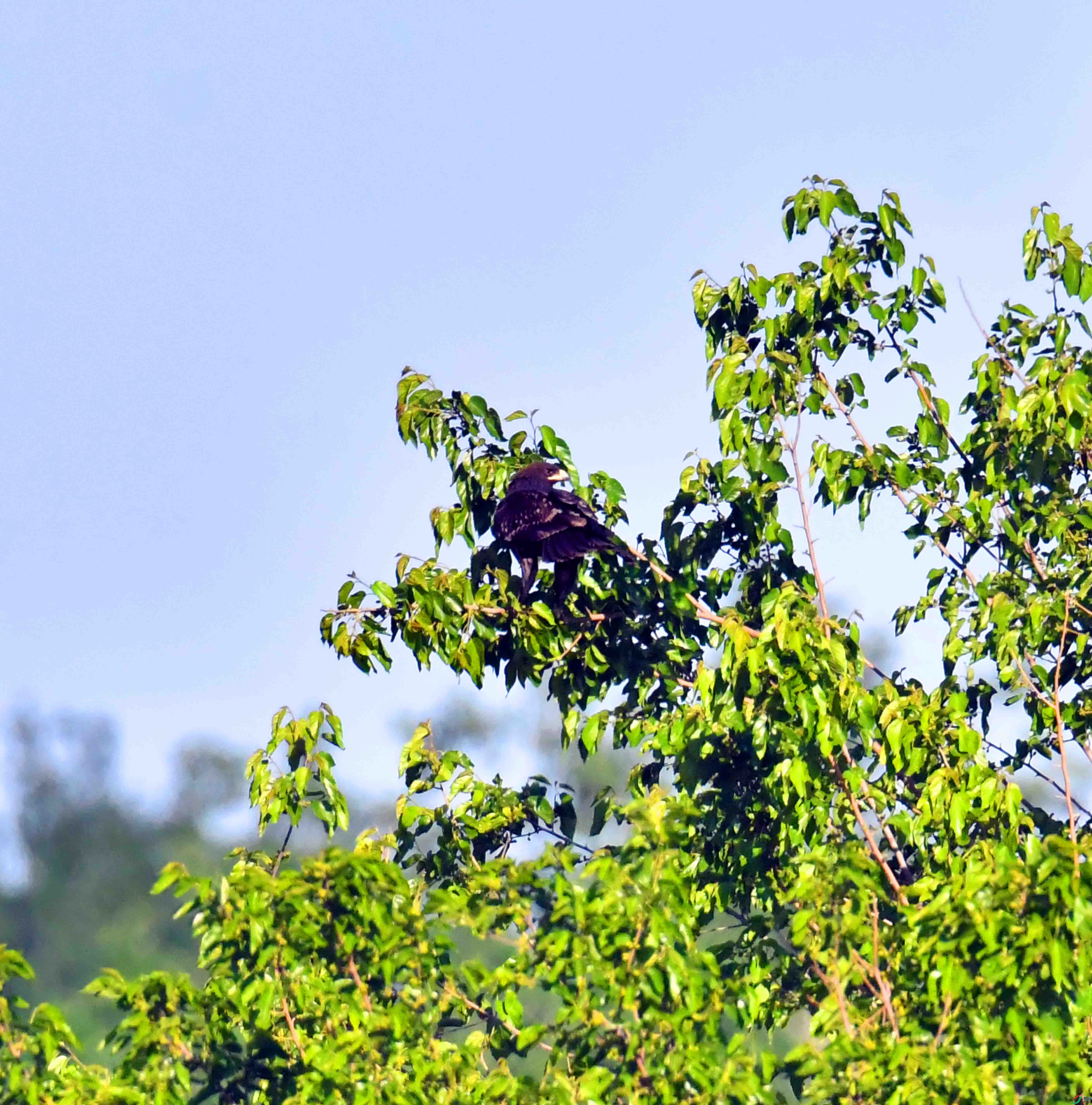 DSC_9156.JPG