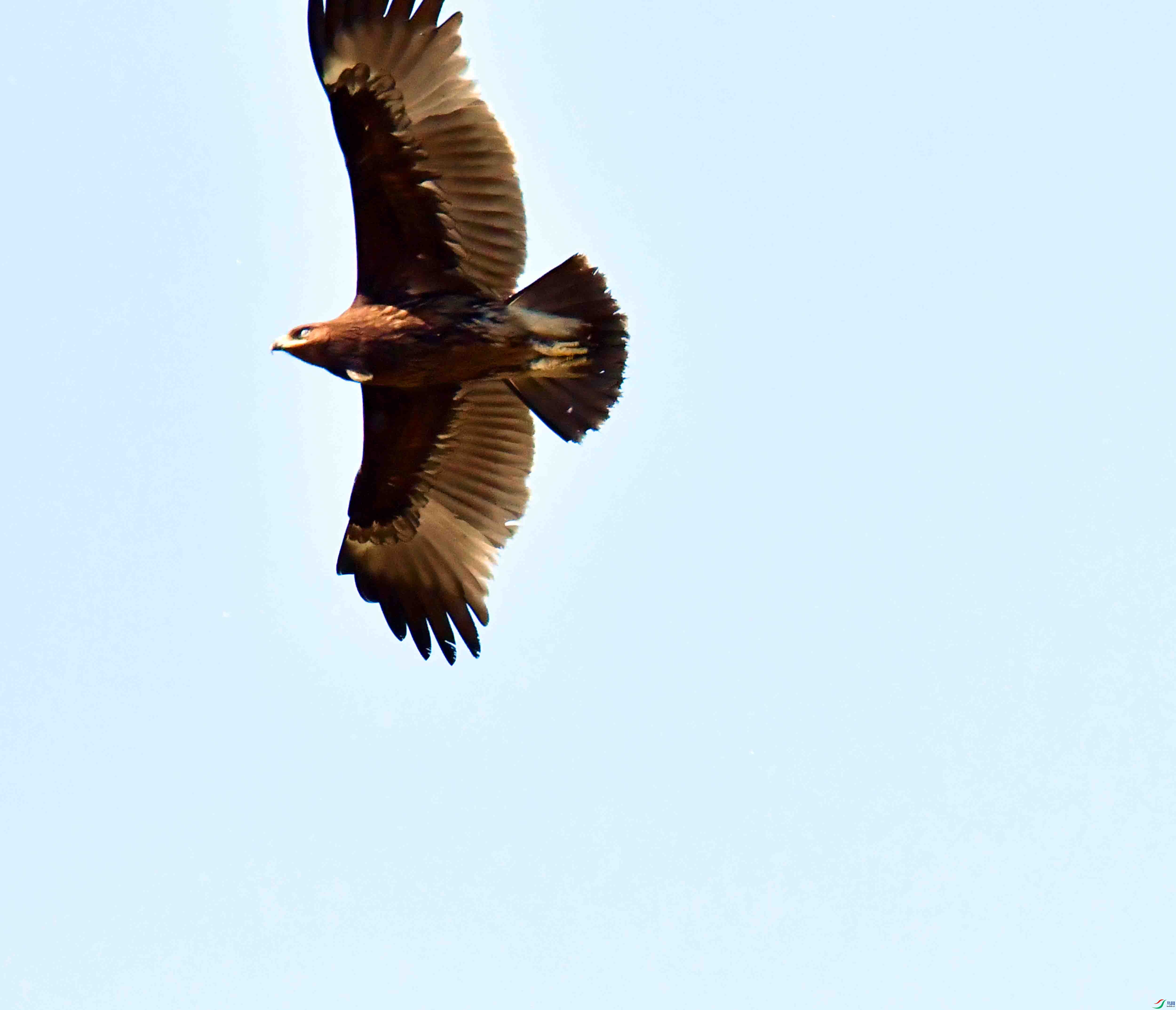 DSC_9379.JPG