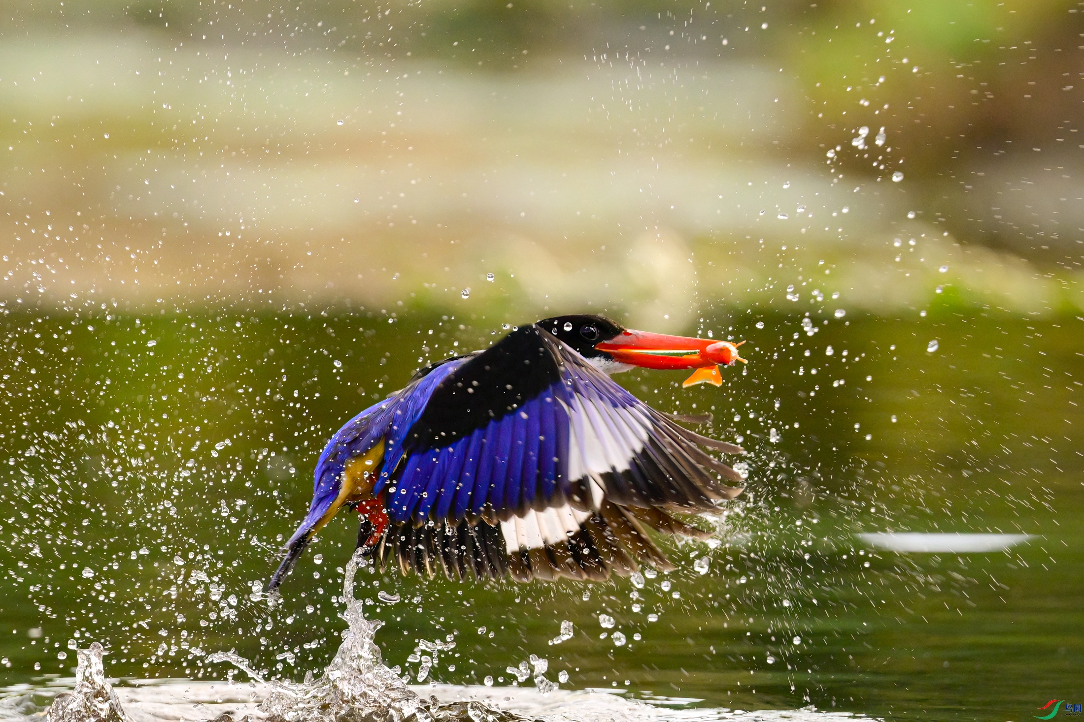 _DSC1634x.jpg