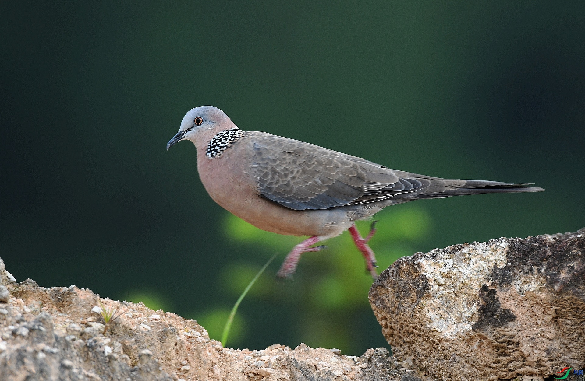 DSC_3574.jpg