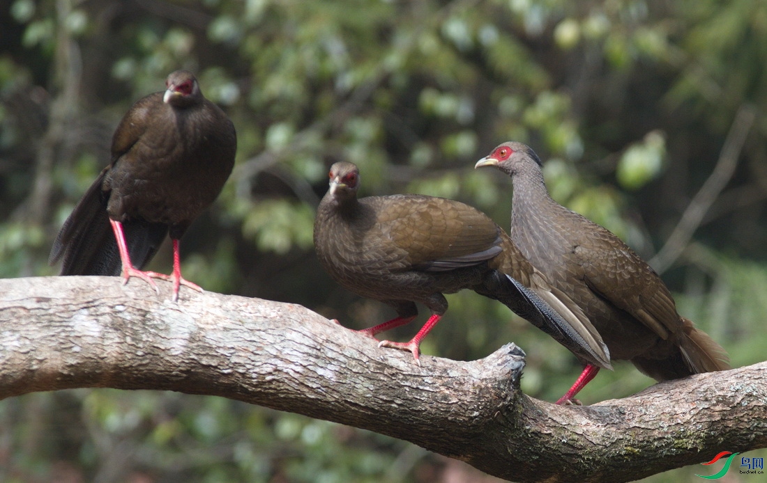 _DSC1812zx_������С.jpg