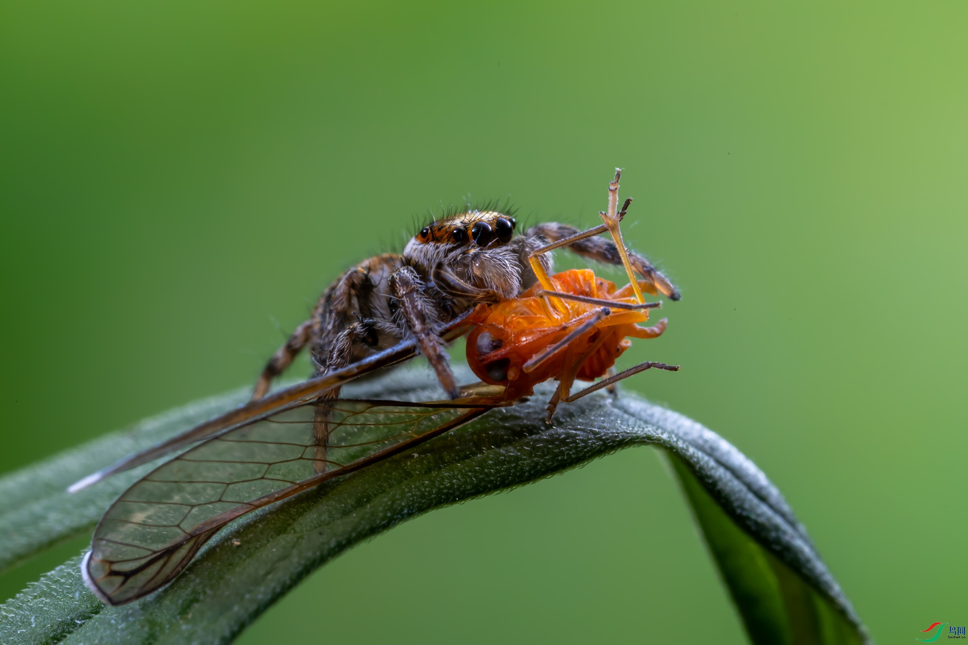 4Z6A9189 ����.jpg