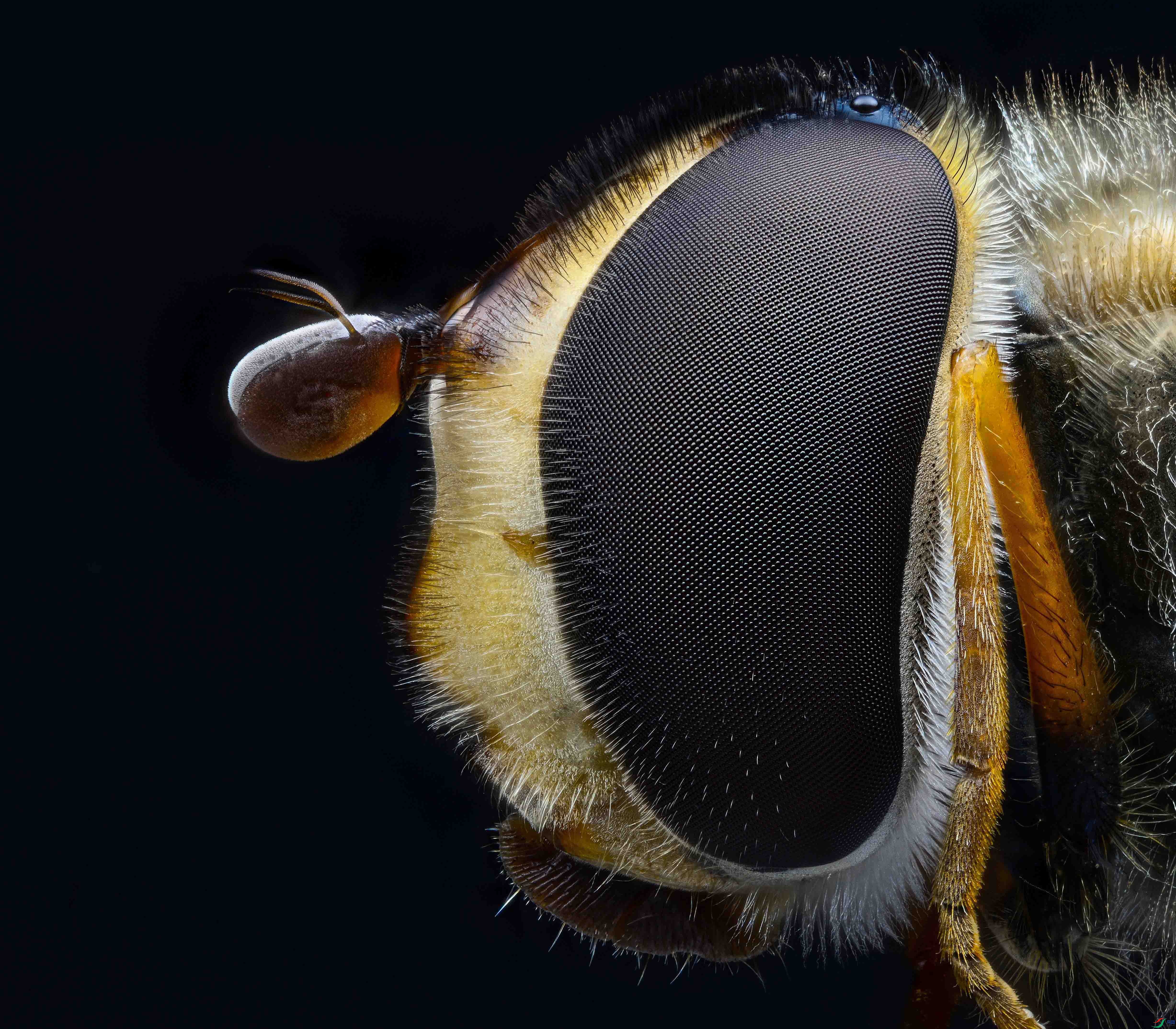 2022-10-30 09-52-44 (C,Smoothing4)-0-1-2-3.jpg