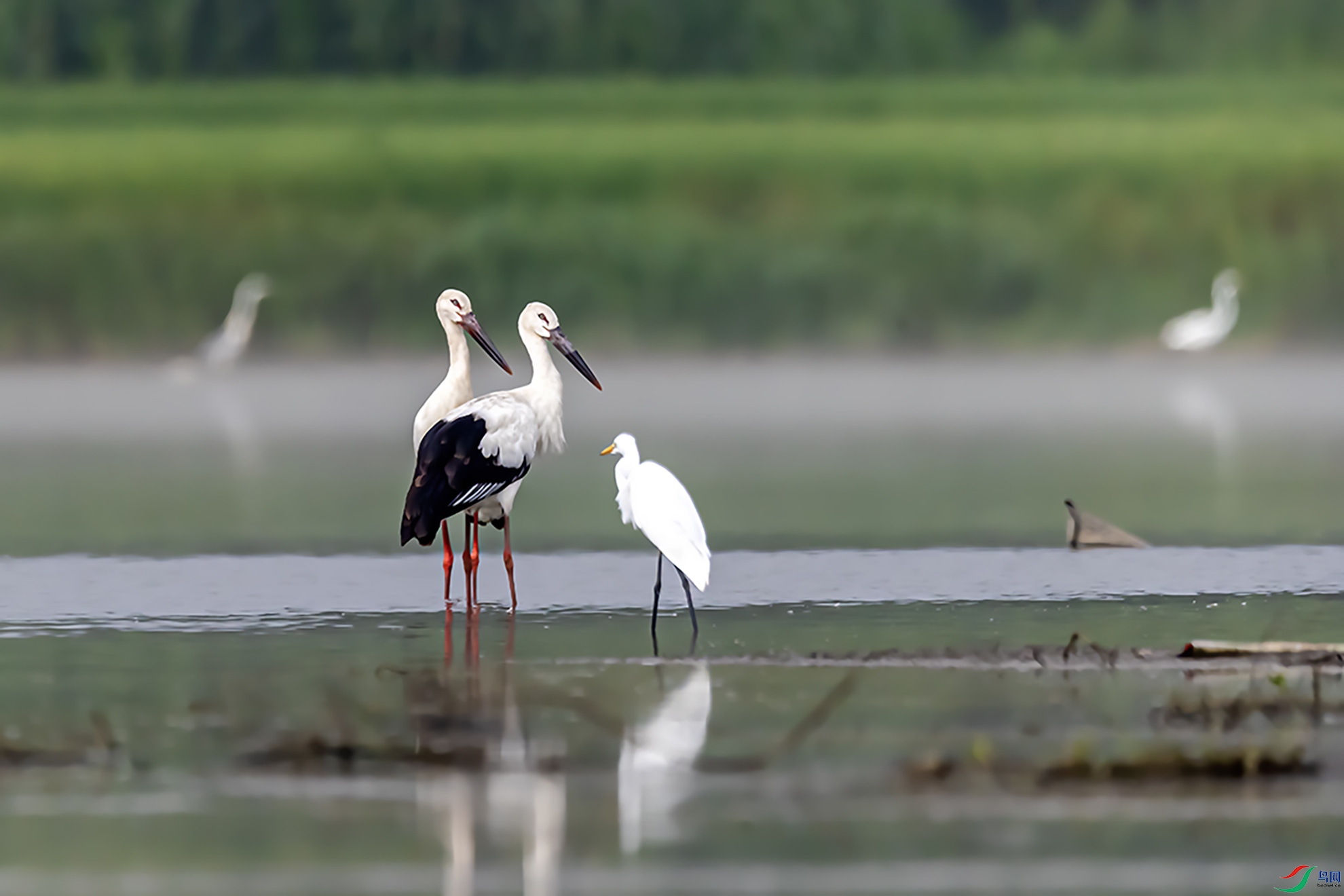 A63I2560 ���� 2.jpg