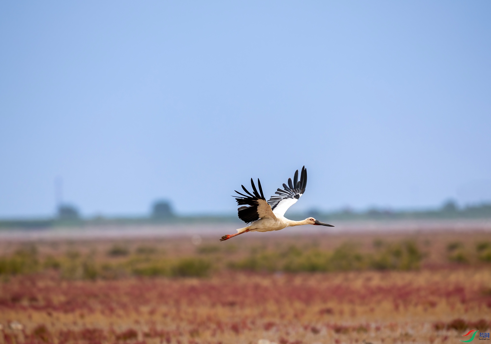 0S9A0737 ����.jpg