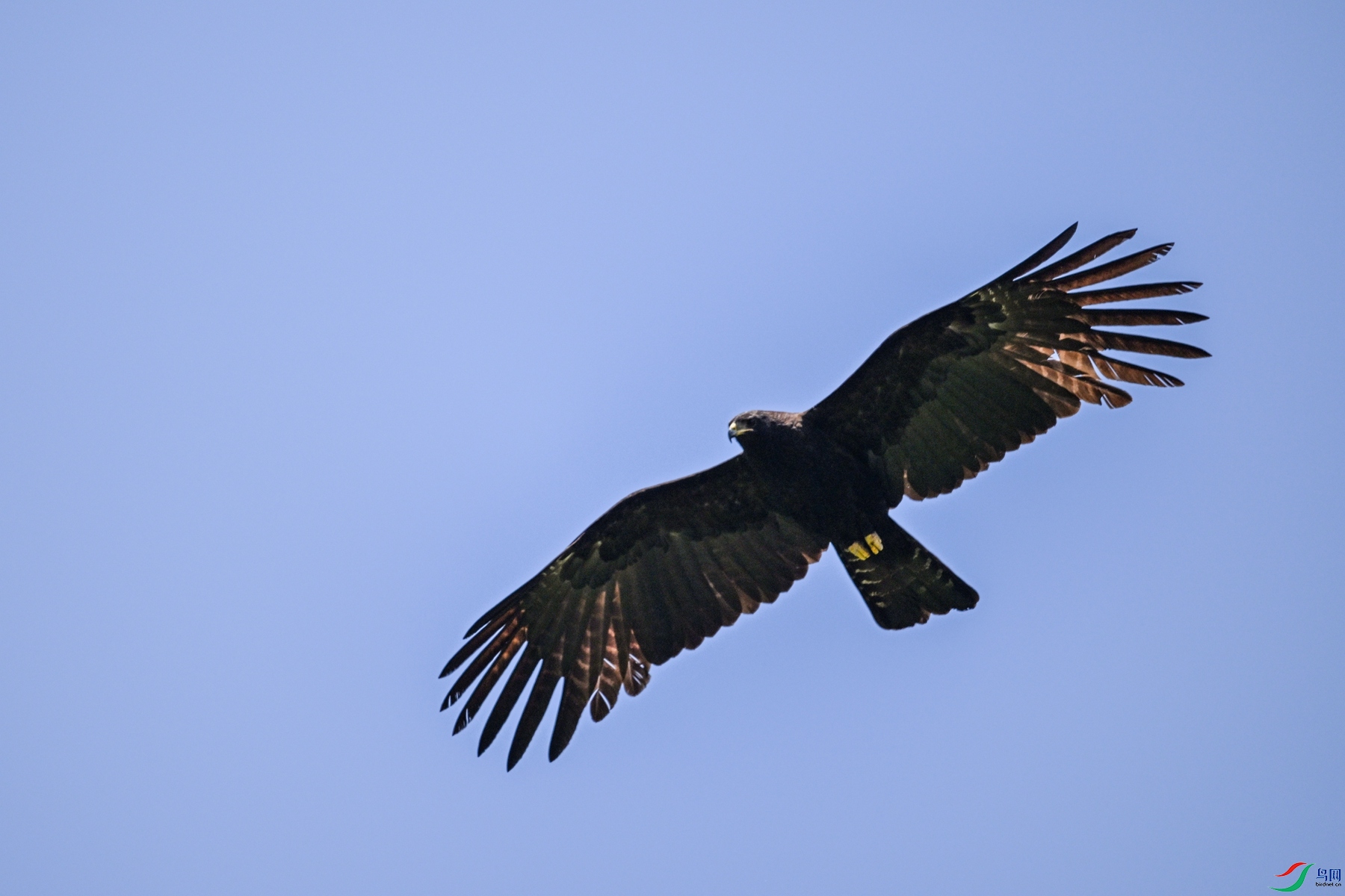 DSC_5107.JPG