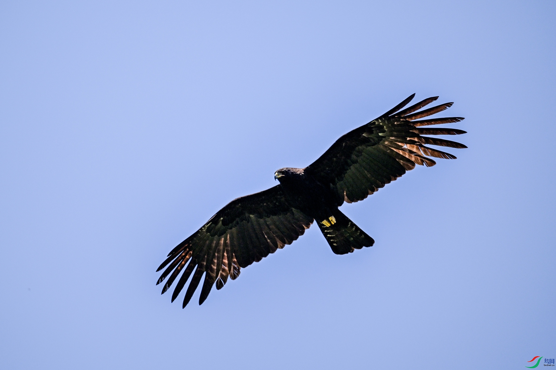 DSC_5108.JPG