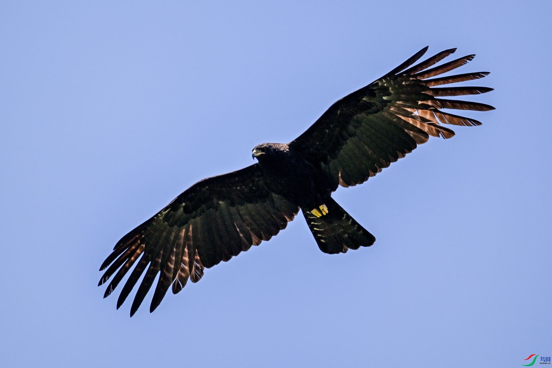 DSC_5110.JPG