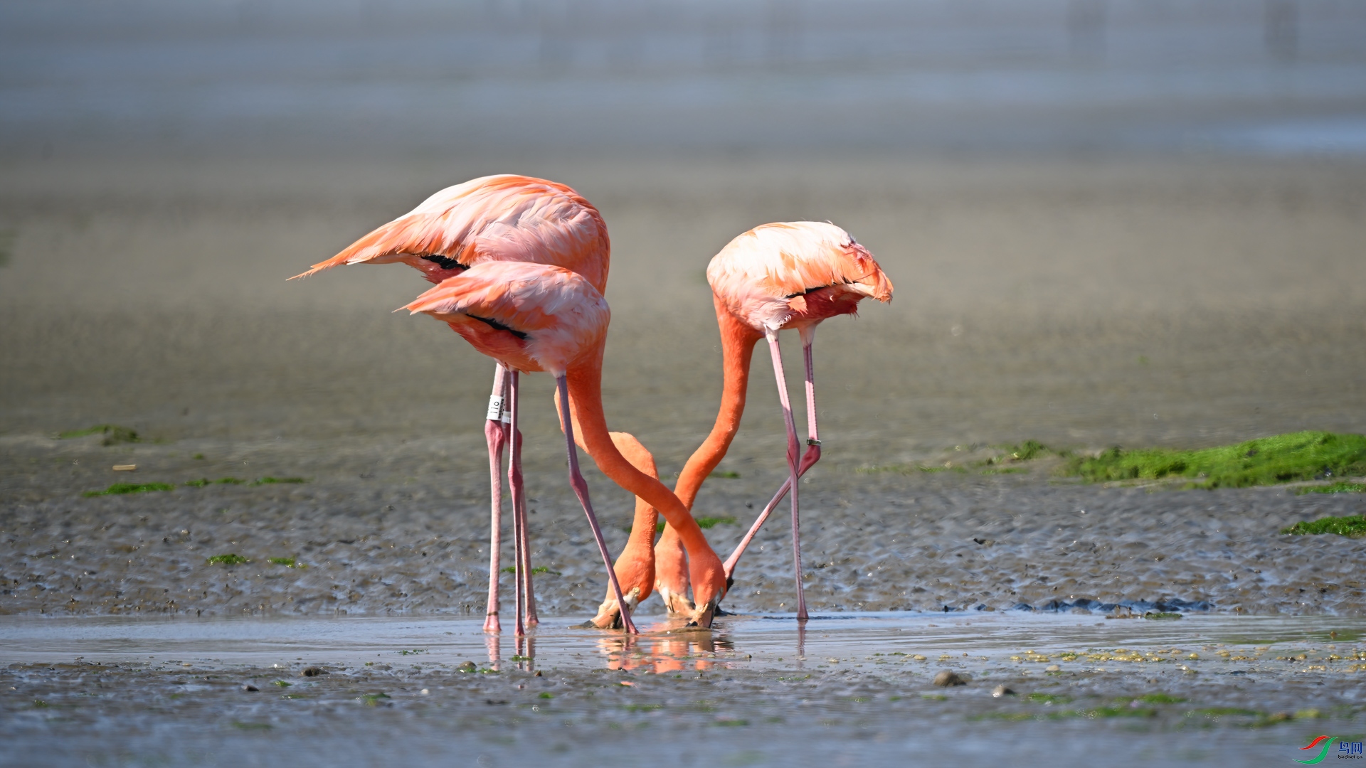 DSC_5529sen2025-2-1-26-�༭.jpg