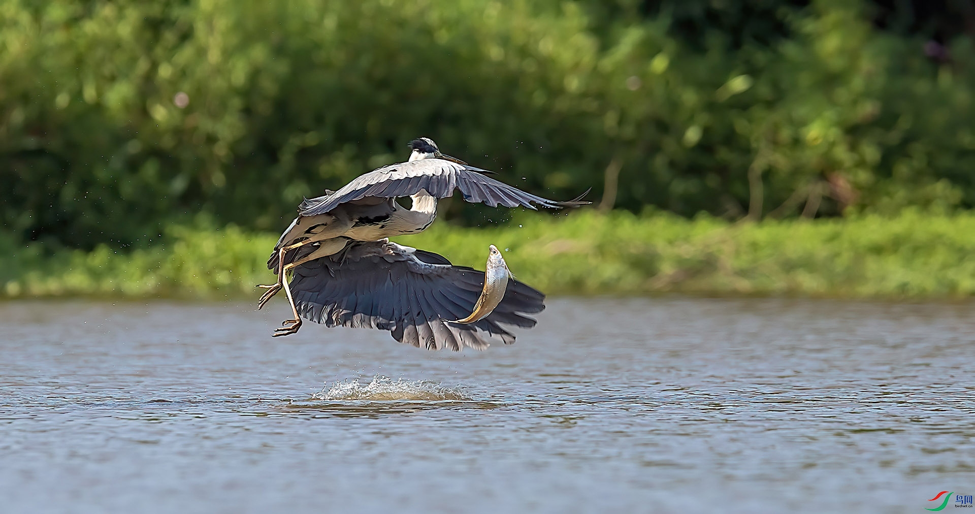 ˮ���Բ���