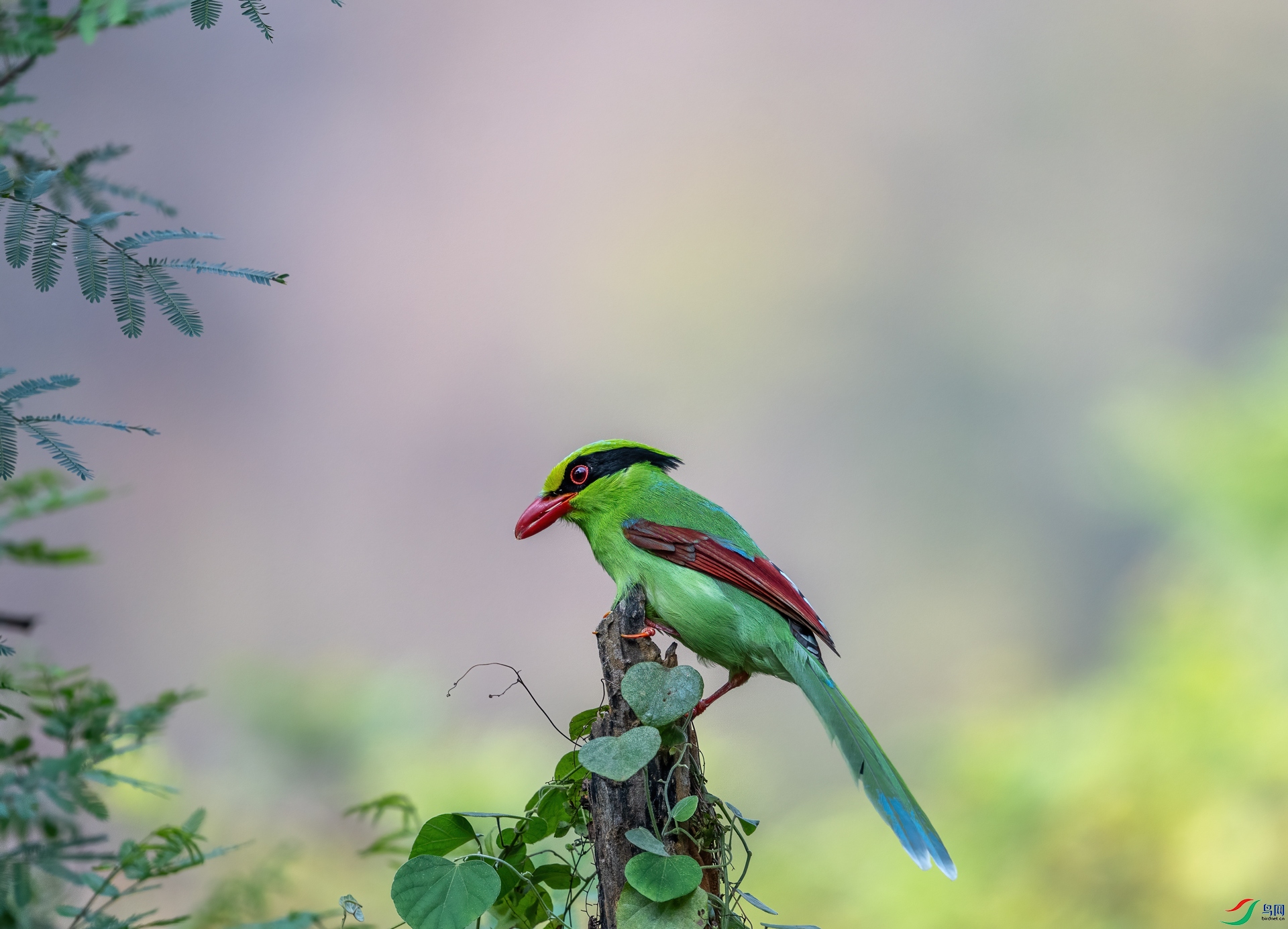 DSC_0708.jpg