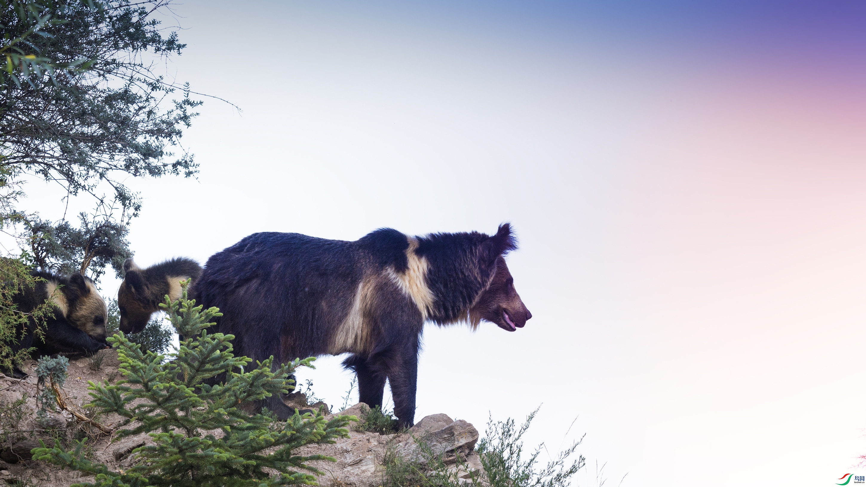 _O7A8615 ����4444.jpg