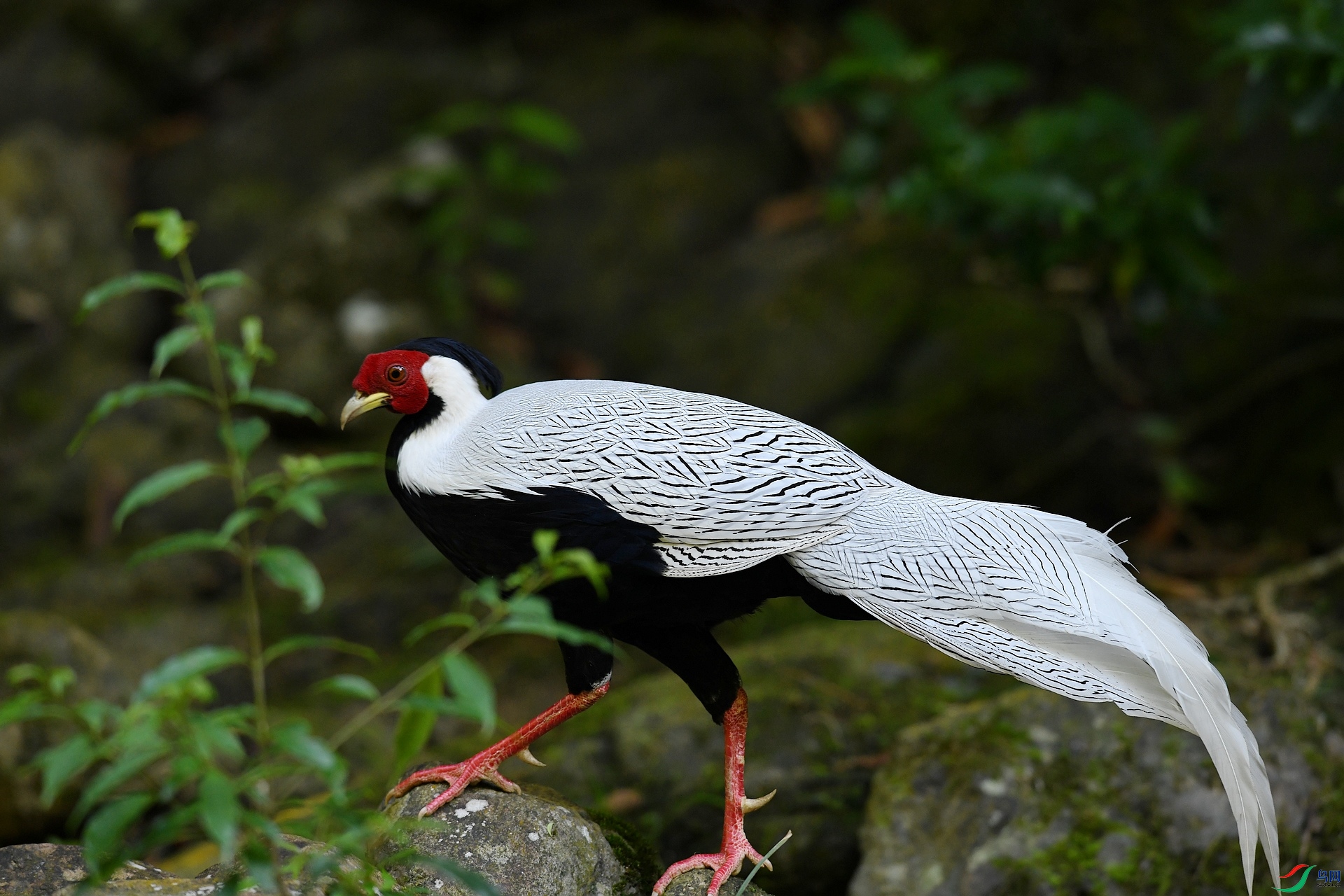 DSC_3487.jpg