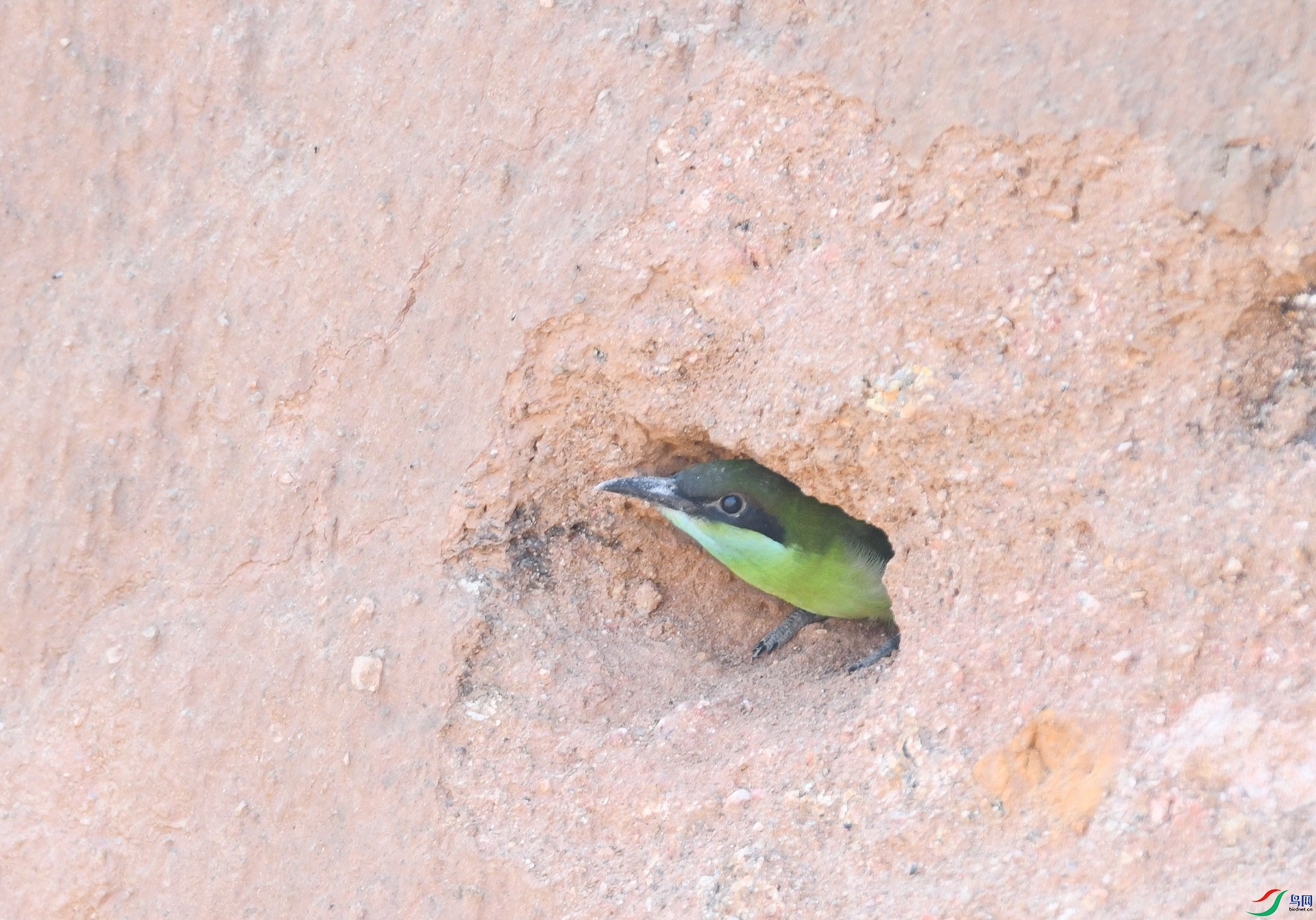 DSC_7679.jpg