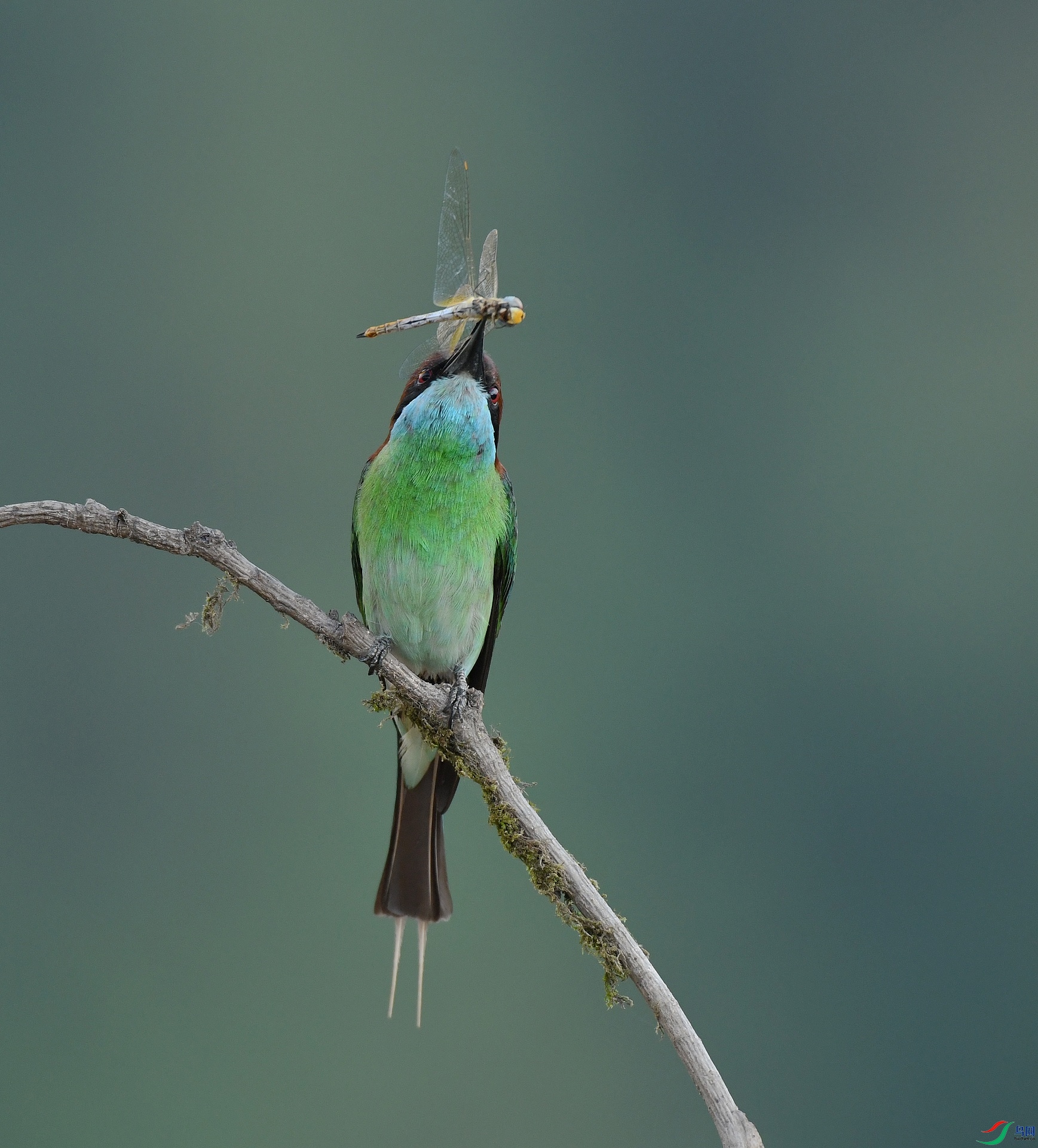 DSC_3676.jpg