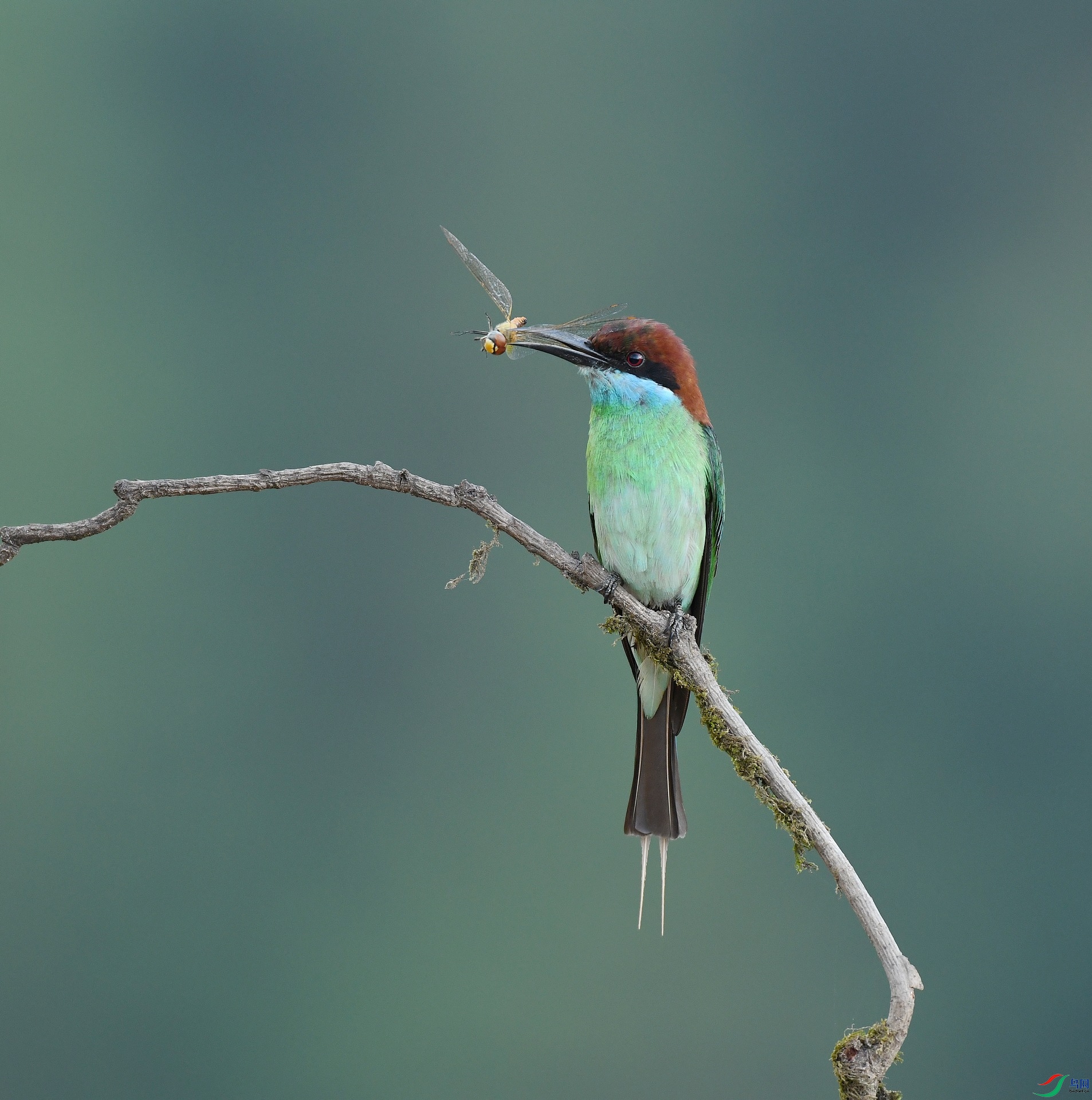 DSC_3667.jpg