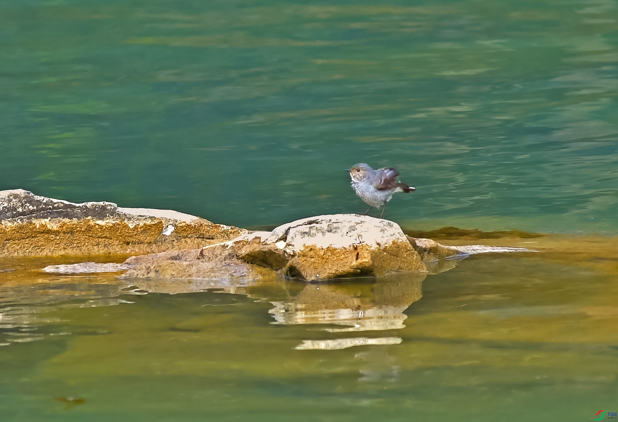 DSC_5196.JPG