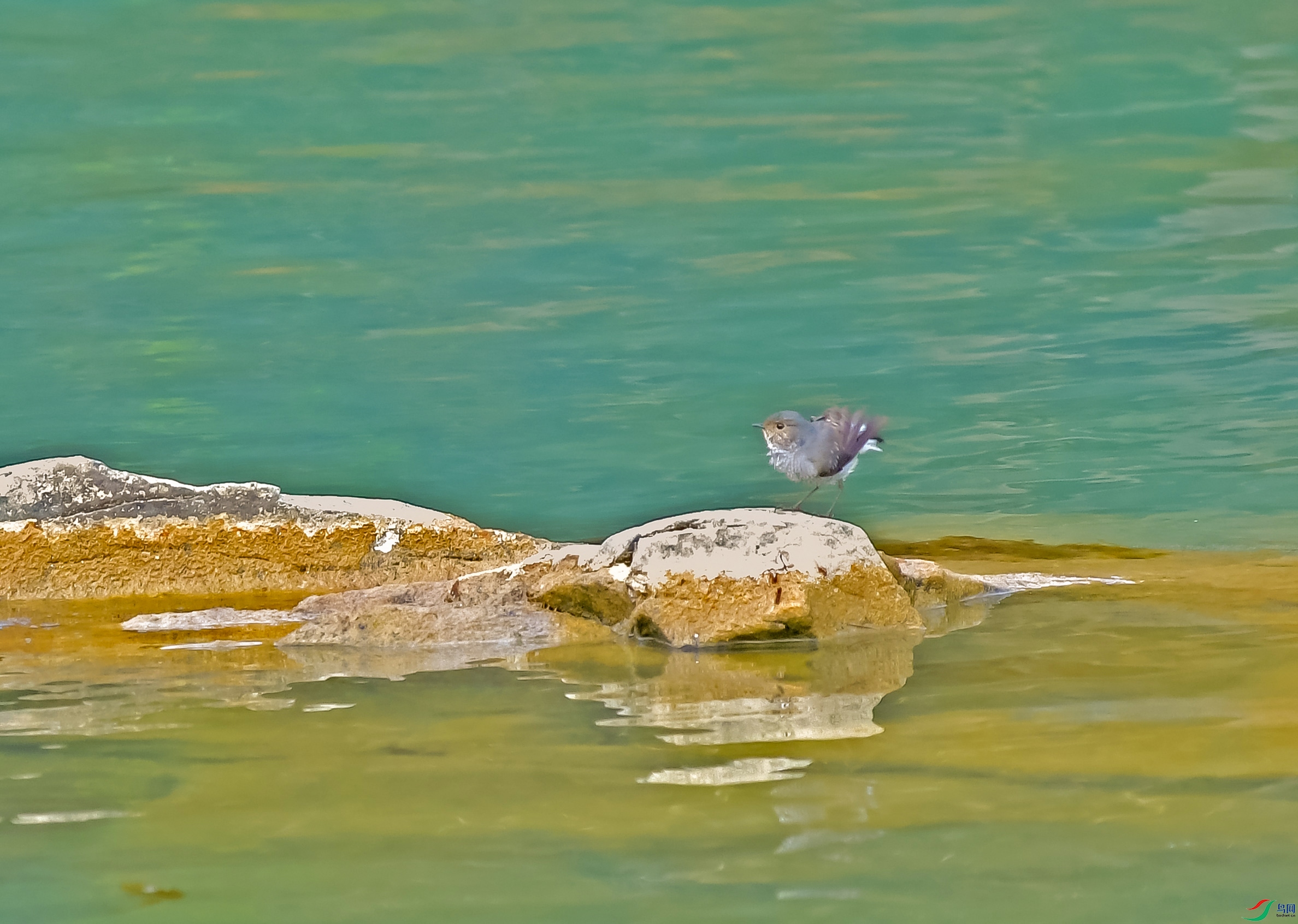 DSC_5194.JPG