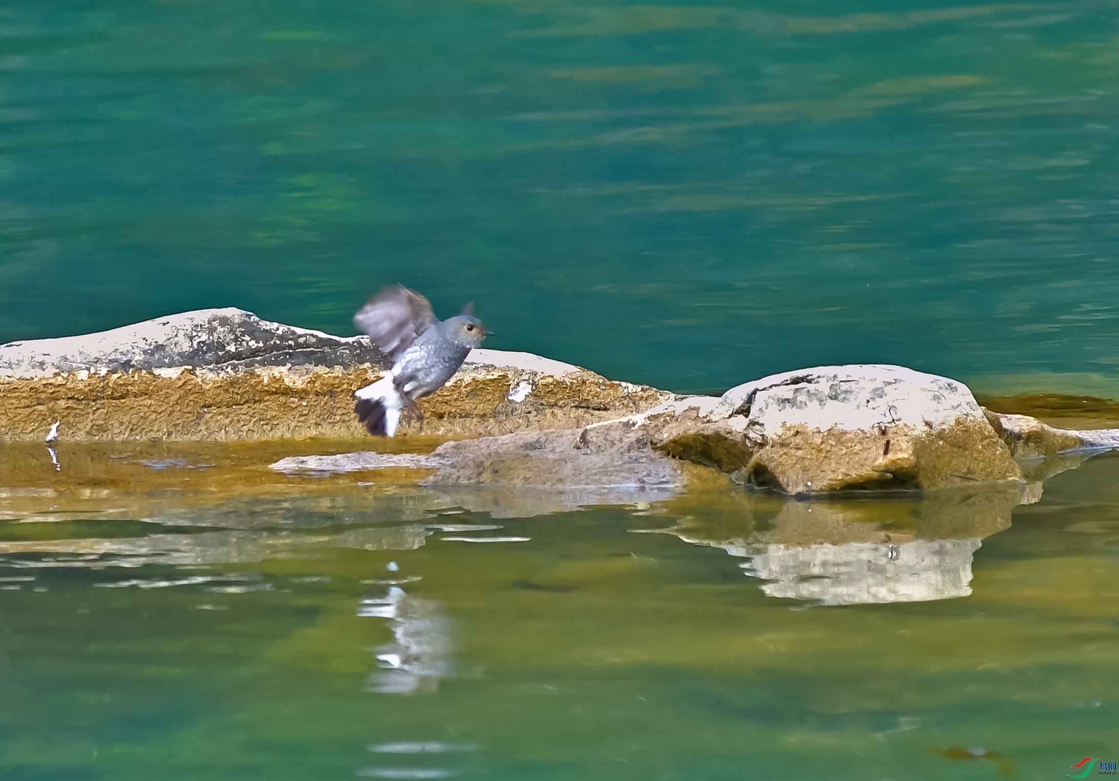 DSC_5199.JPG