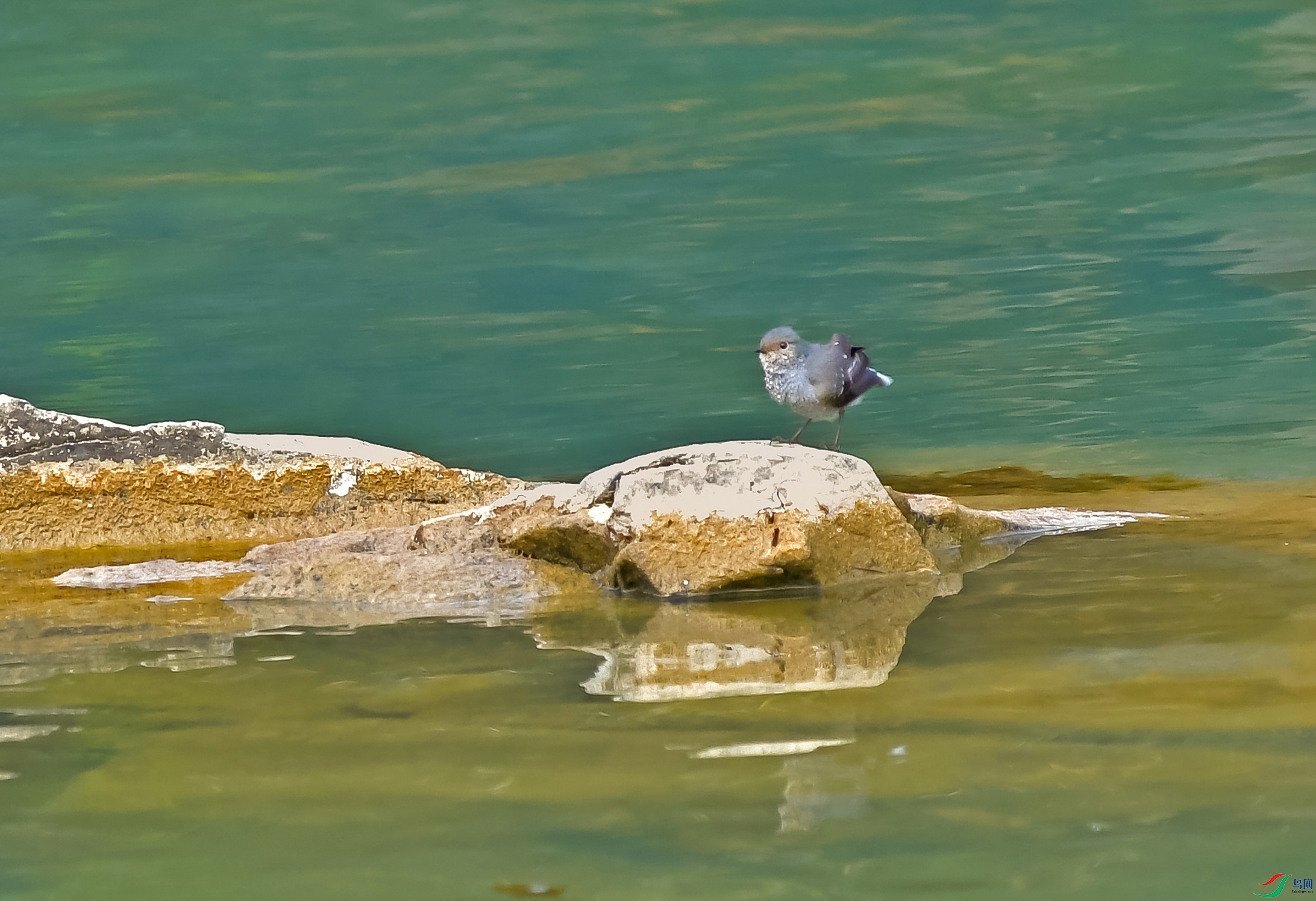 DSC_5197.JPG