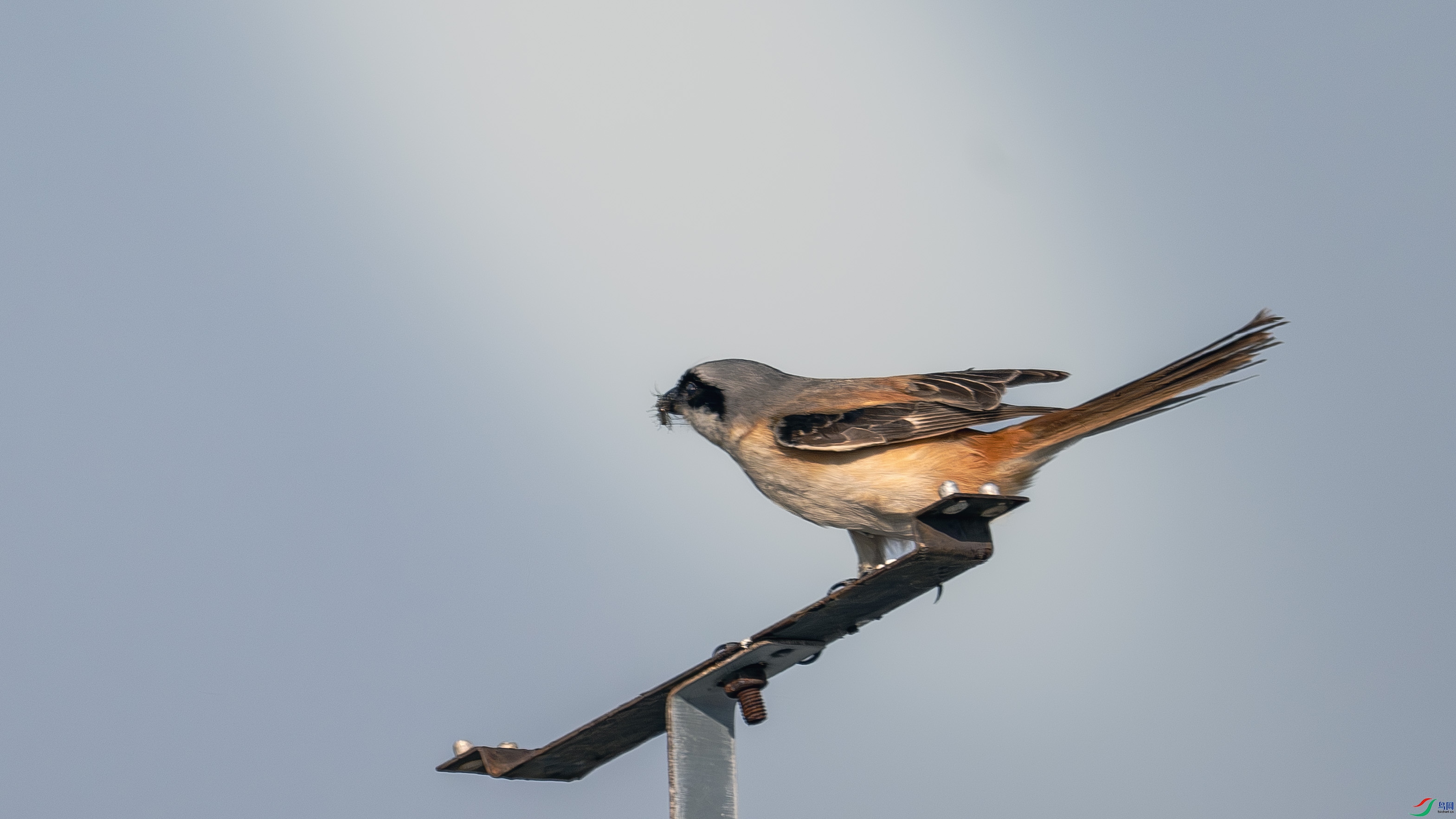 DSC_0734.jpg