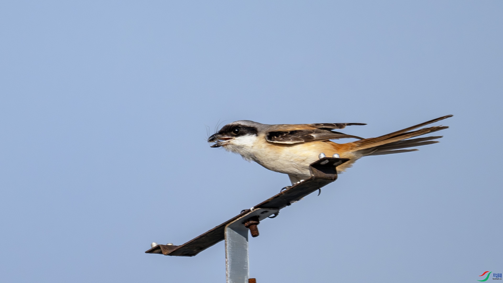 DSC_0737.jpg