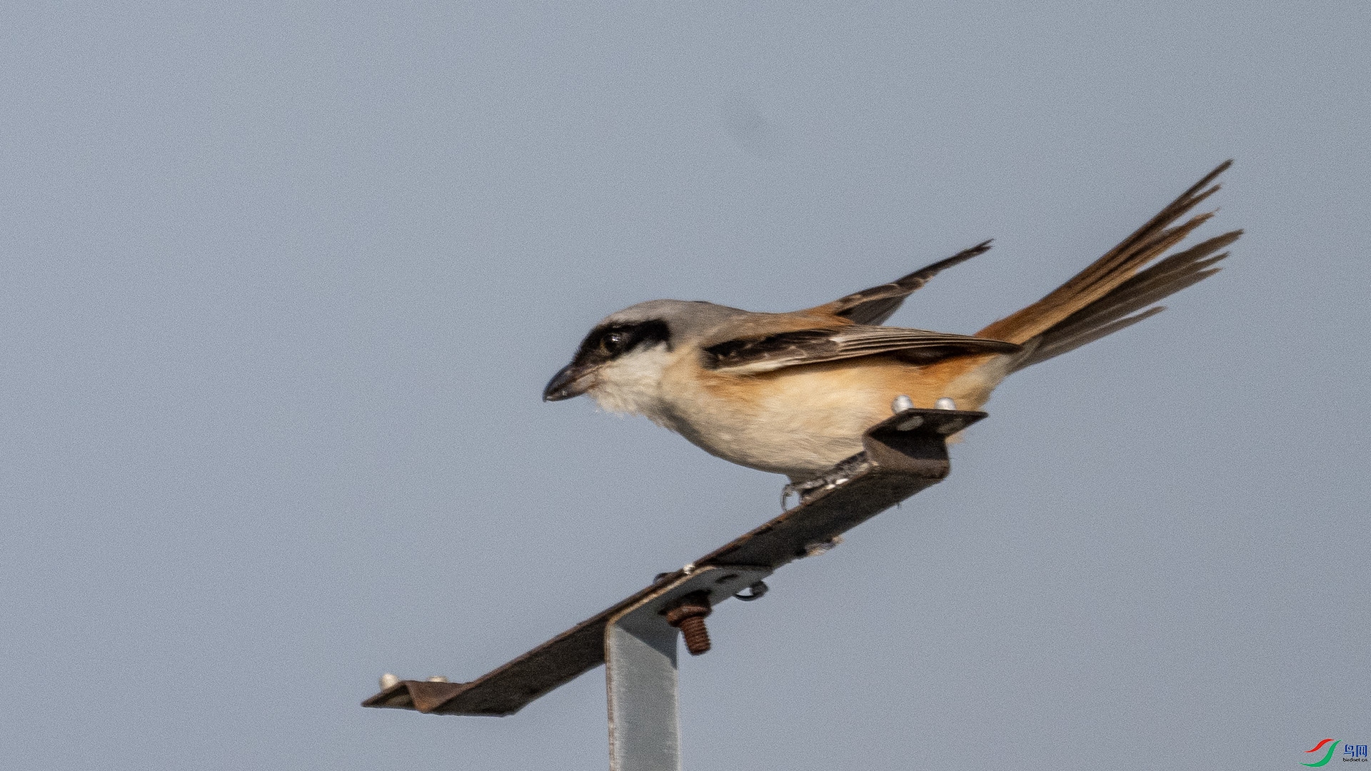 DSC_0741 ����.jpg