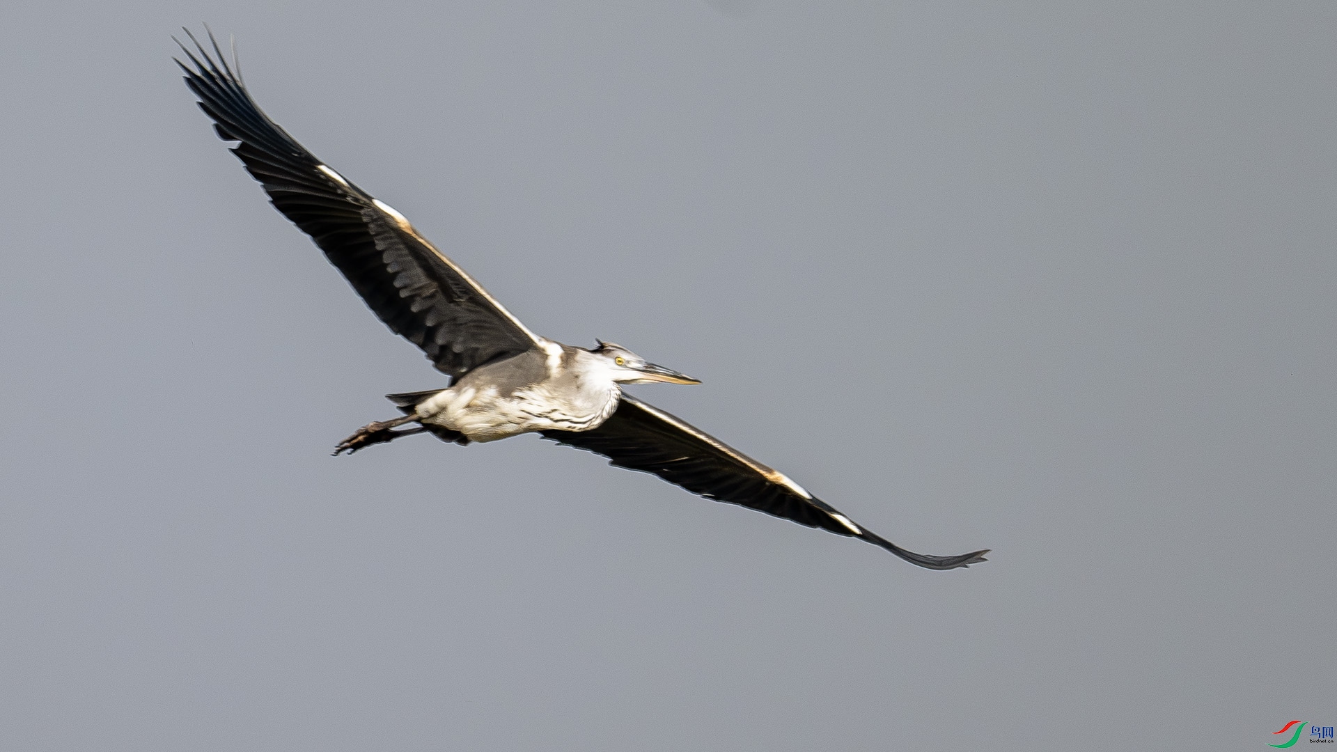 DSC_0757.jpg