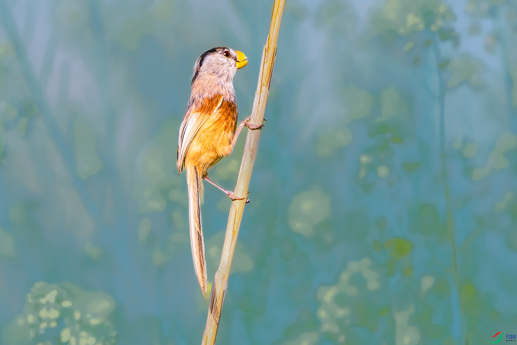 ��ѻȸ----έ�Ͼ�����ܿ�