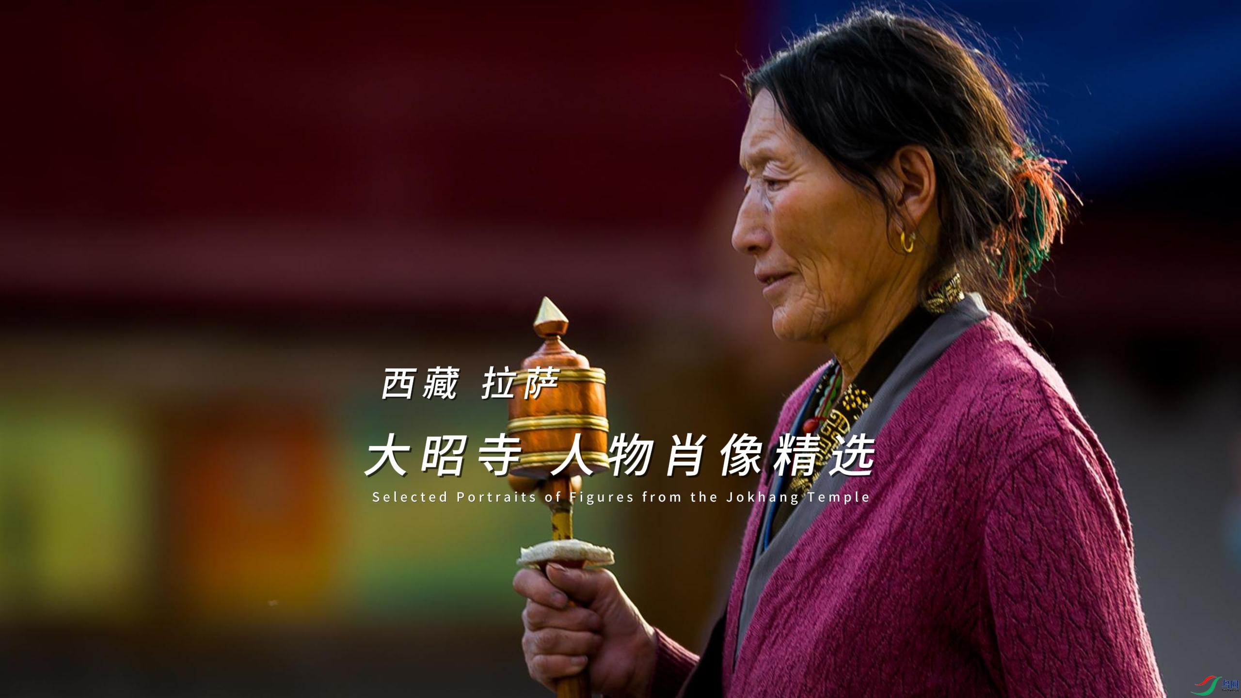 ���� ���� ������ ����Ф��ѡ-����.jpg