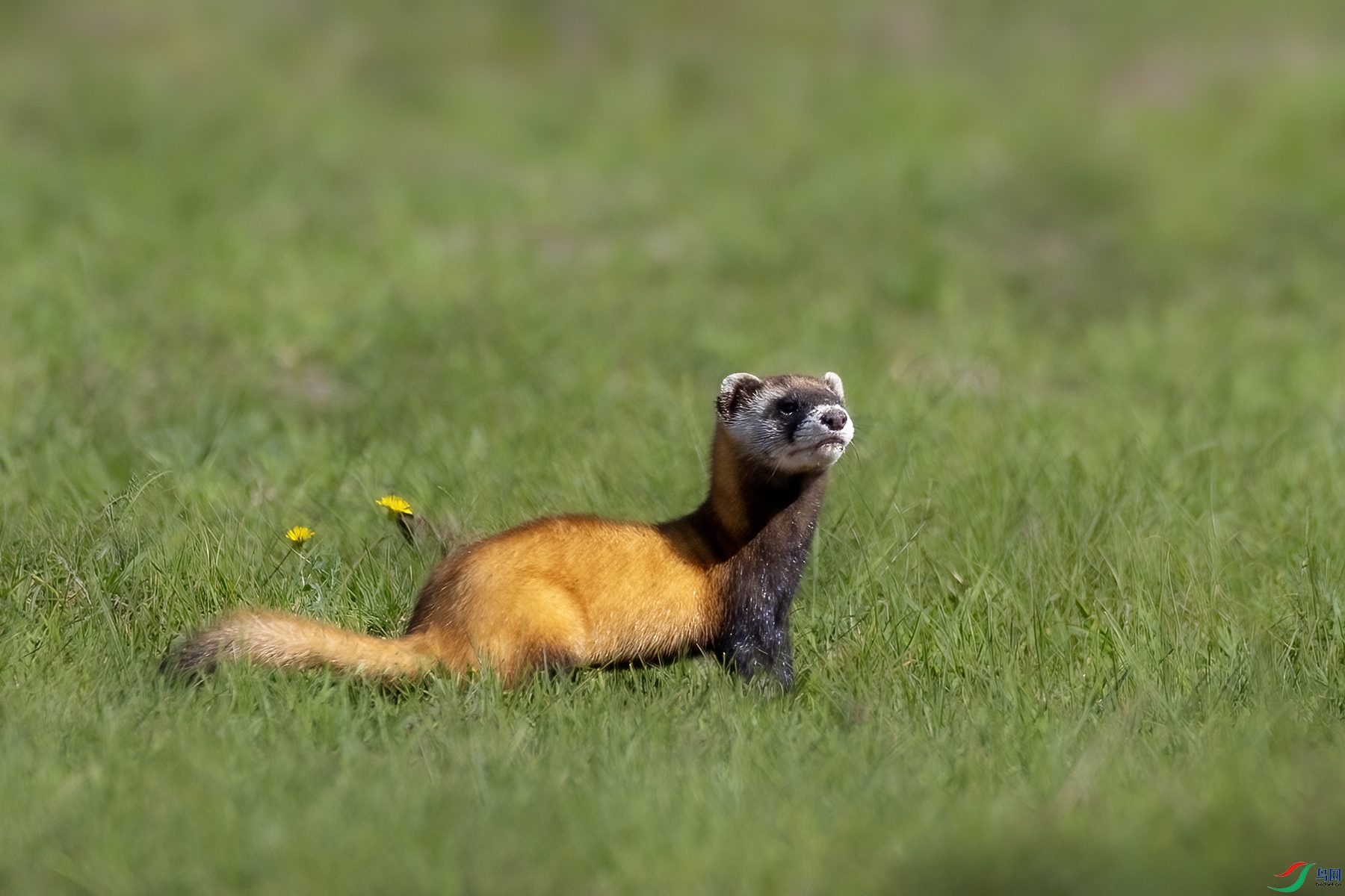 IMG_4918 ����.jpg