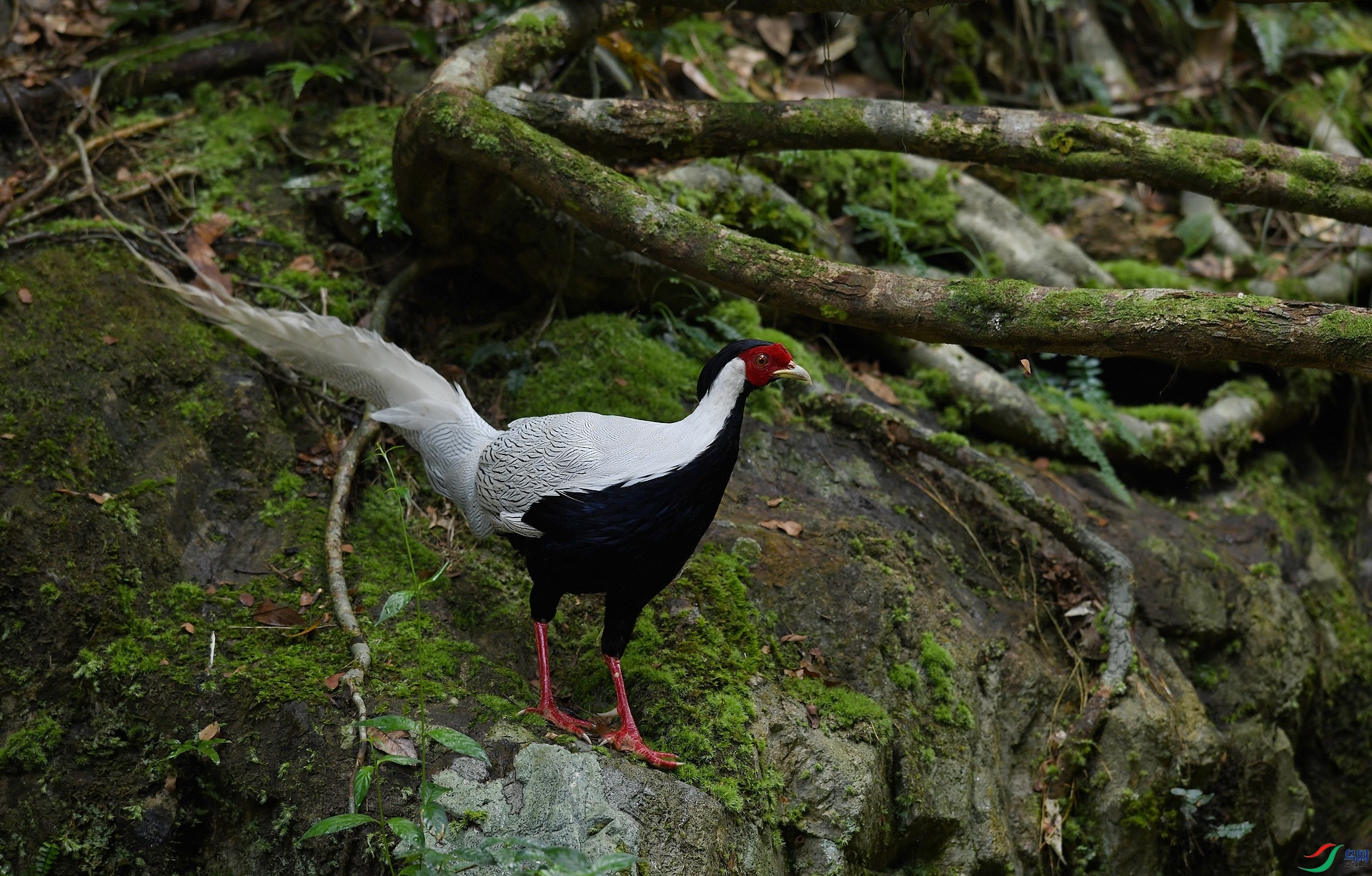 DSC_2072.jpg