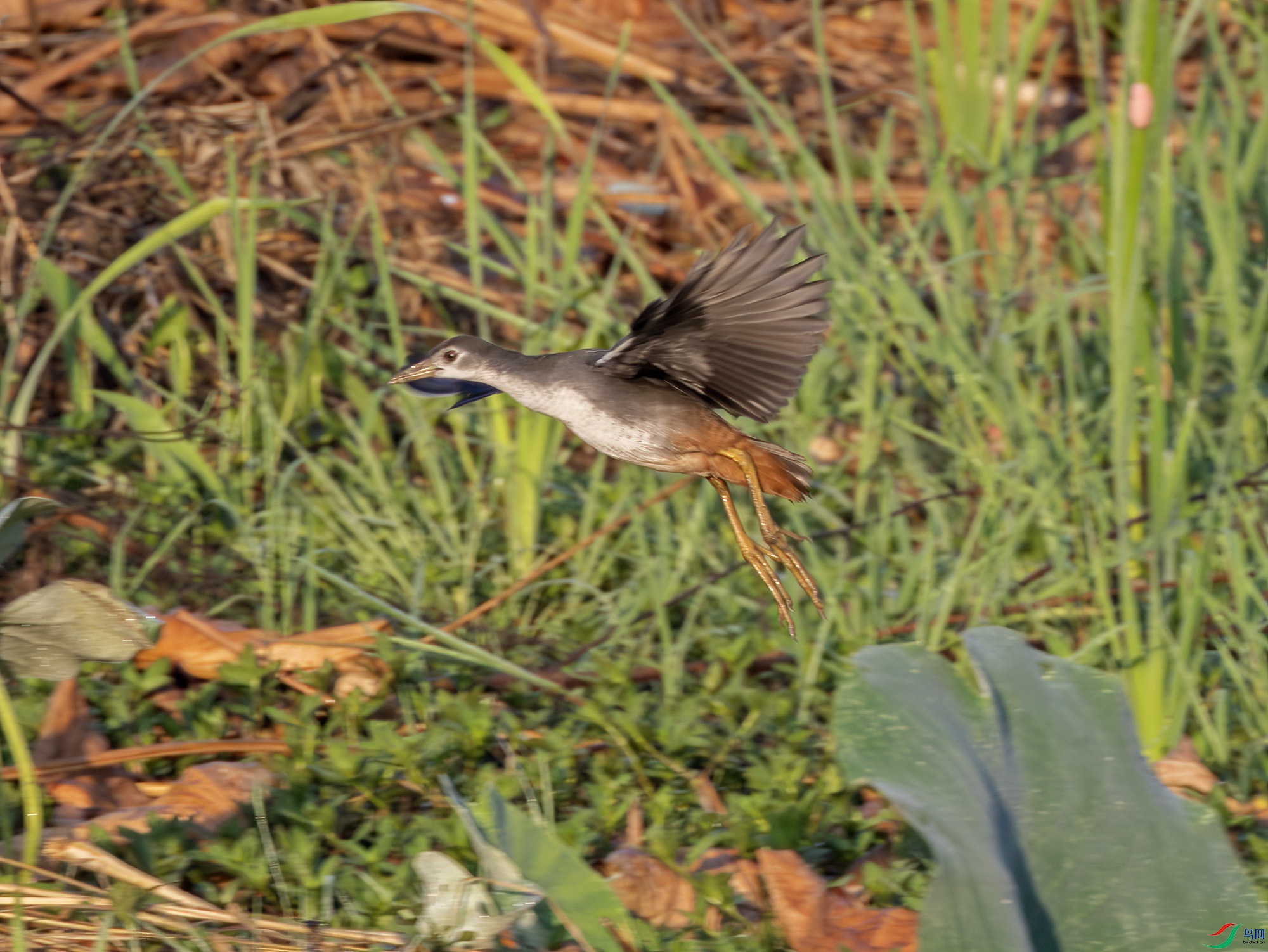 2I1A3433-����ǿ-NR ����.jpg