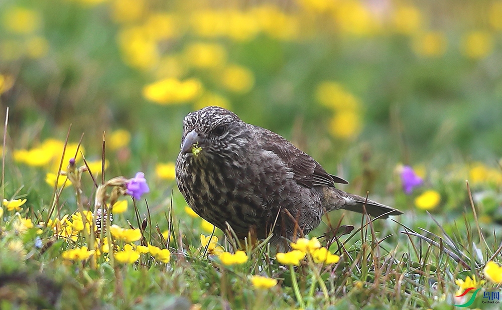 �����춥ȸ (2).JPG