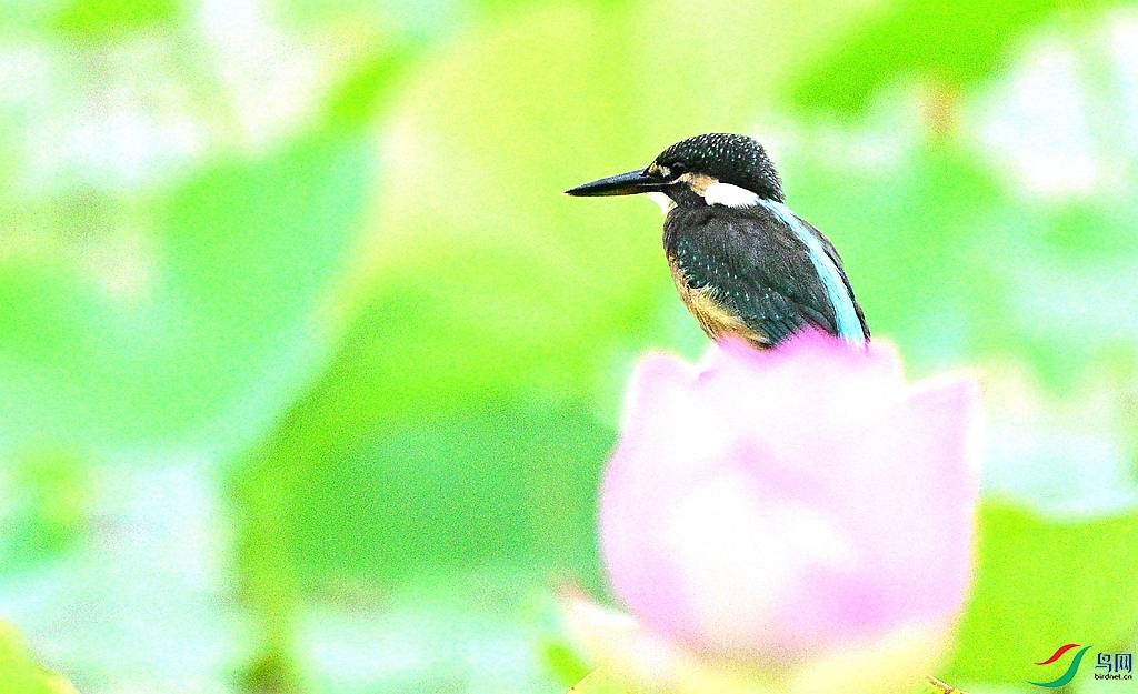 DSC_3823.JPG