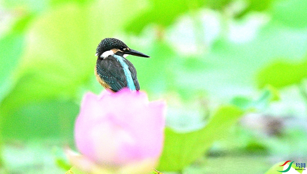 DSC_3827.JPG