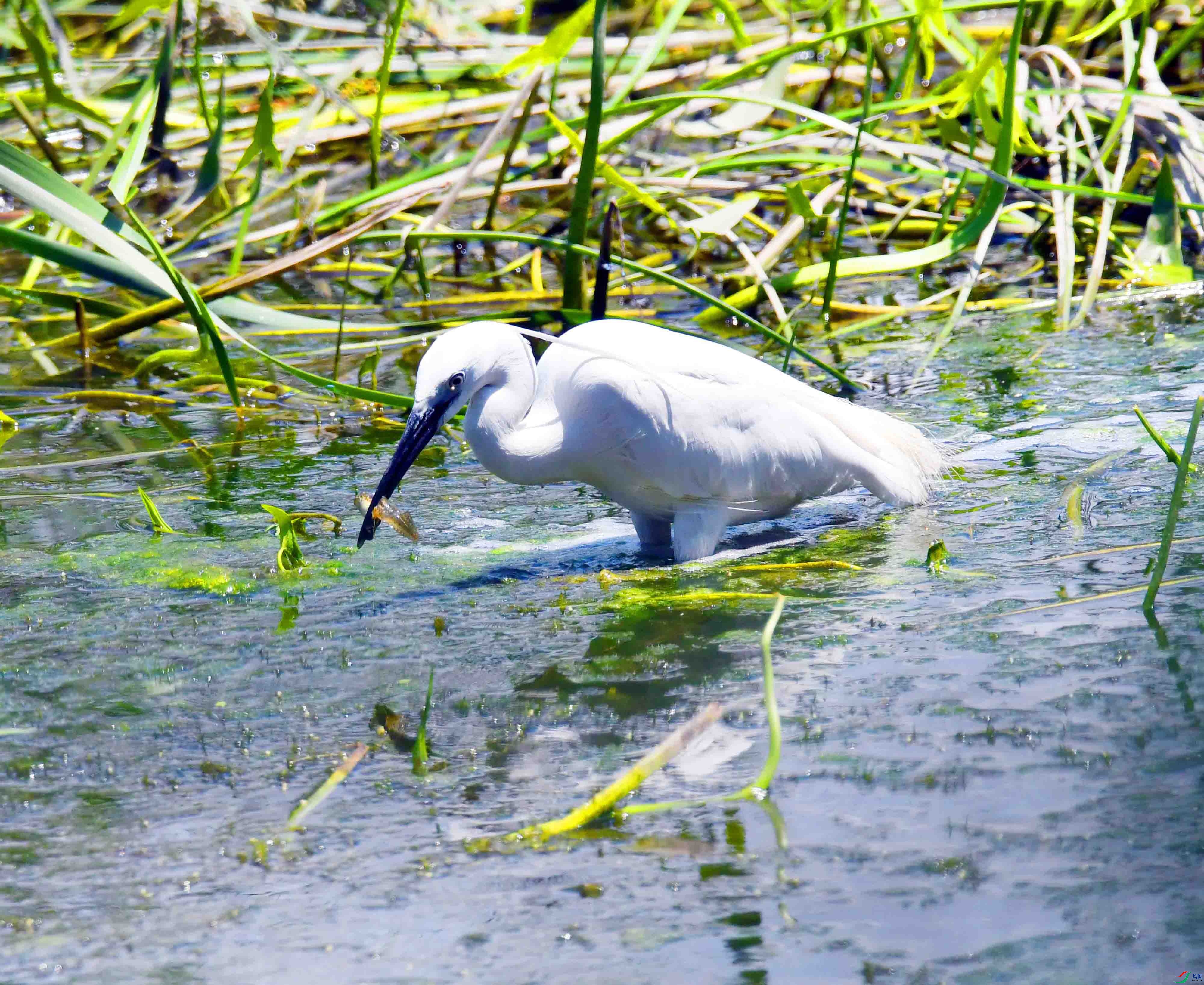 DSC_1032.JPG