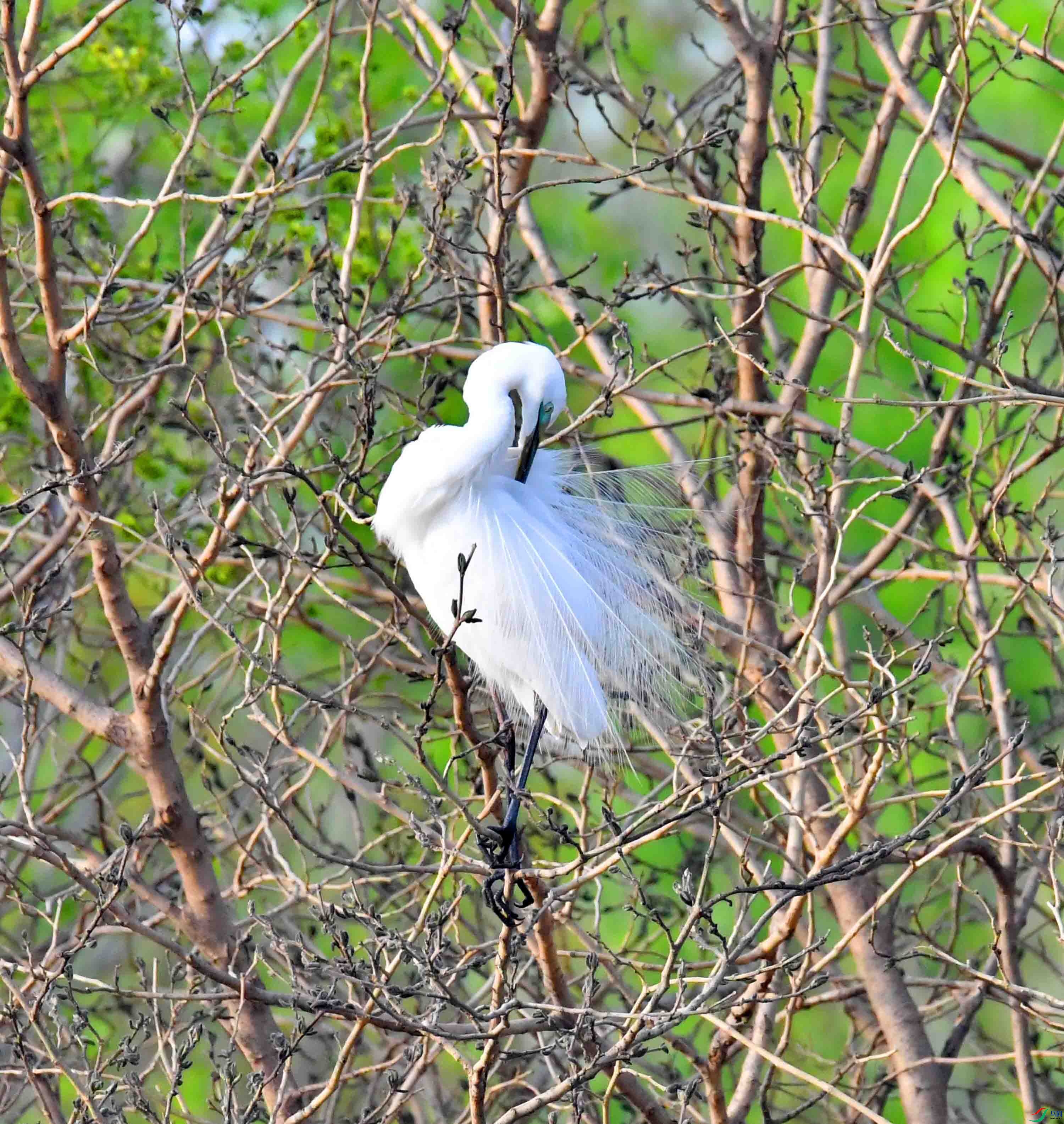 DSC_1225.JPG