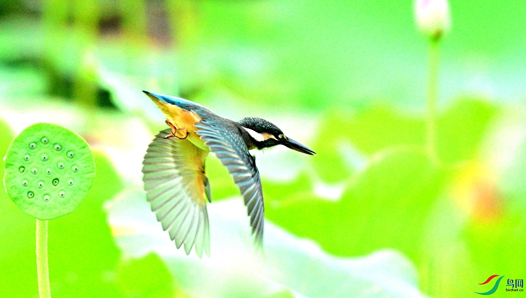 DSC_4714.JPG