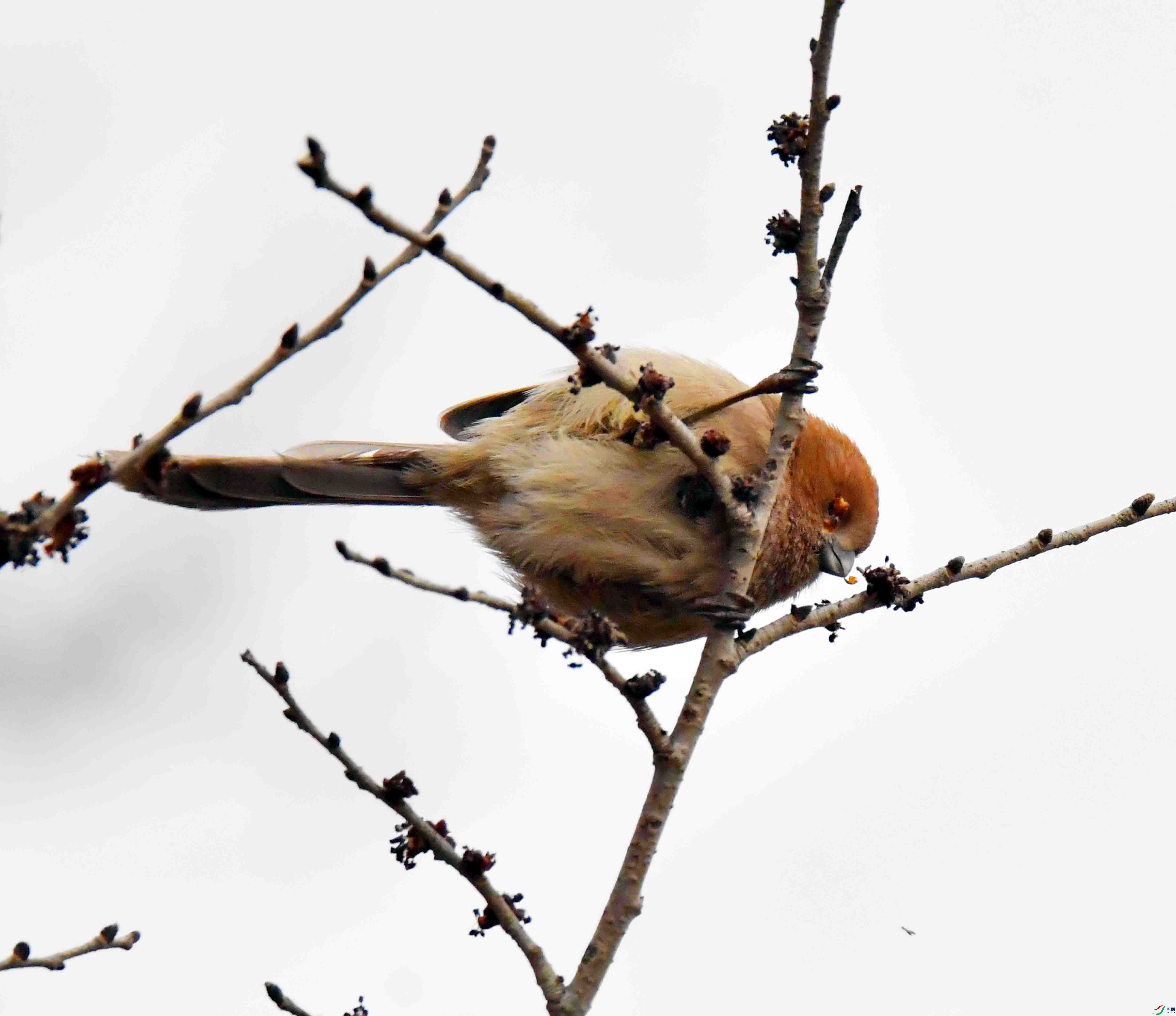 DSC_0253.JPG