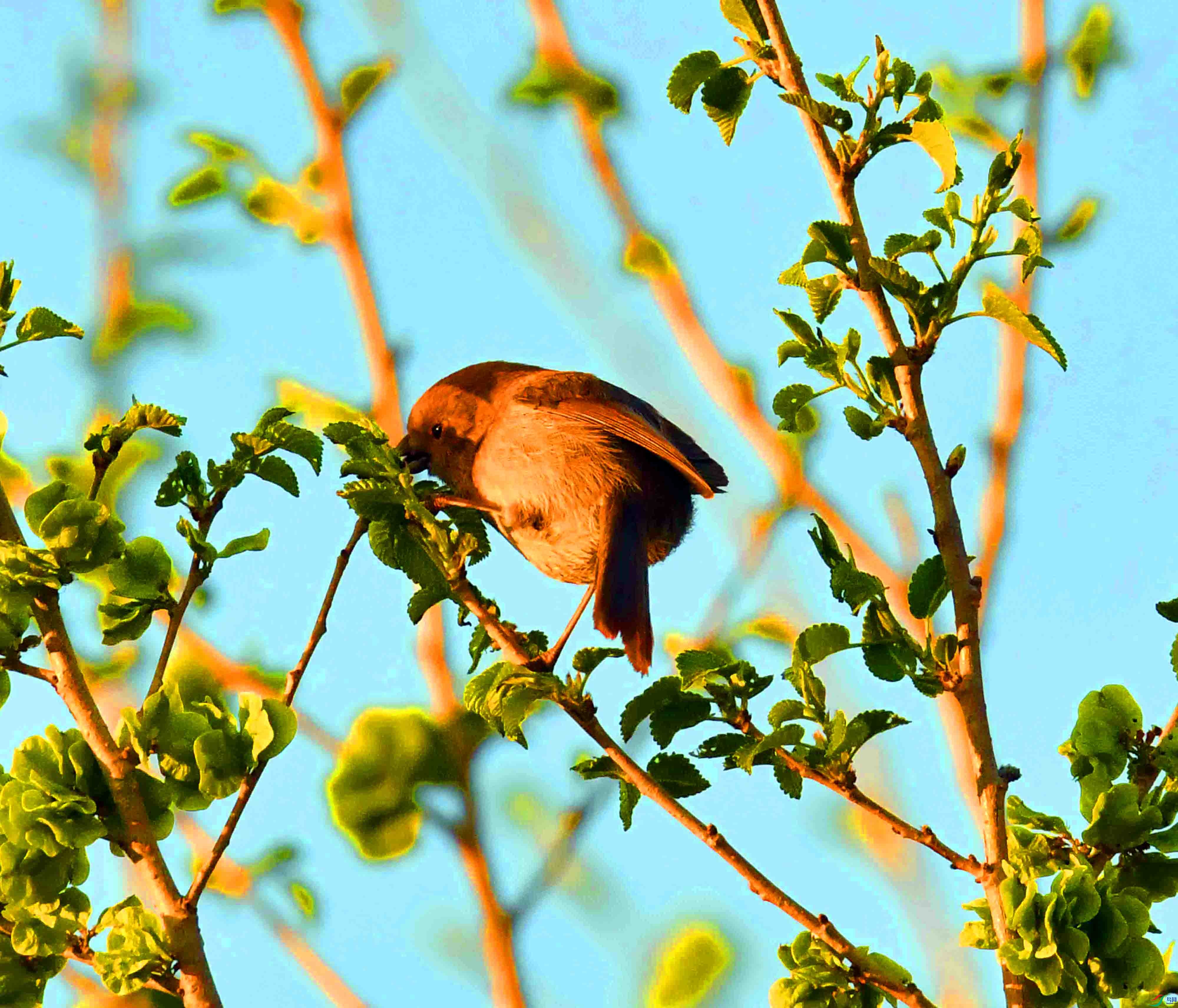 DSC_0988.JPG