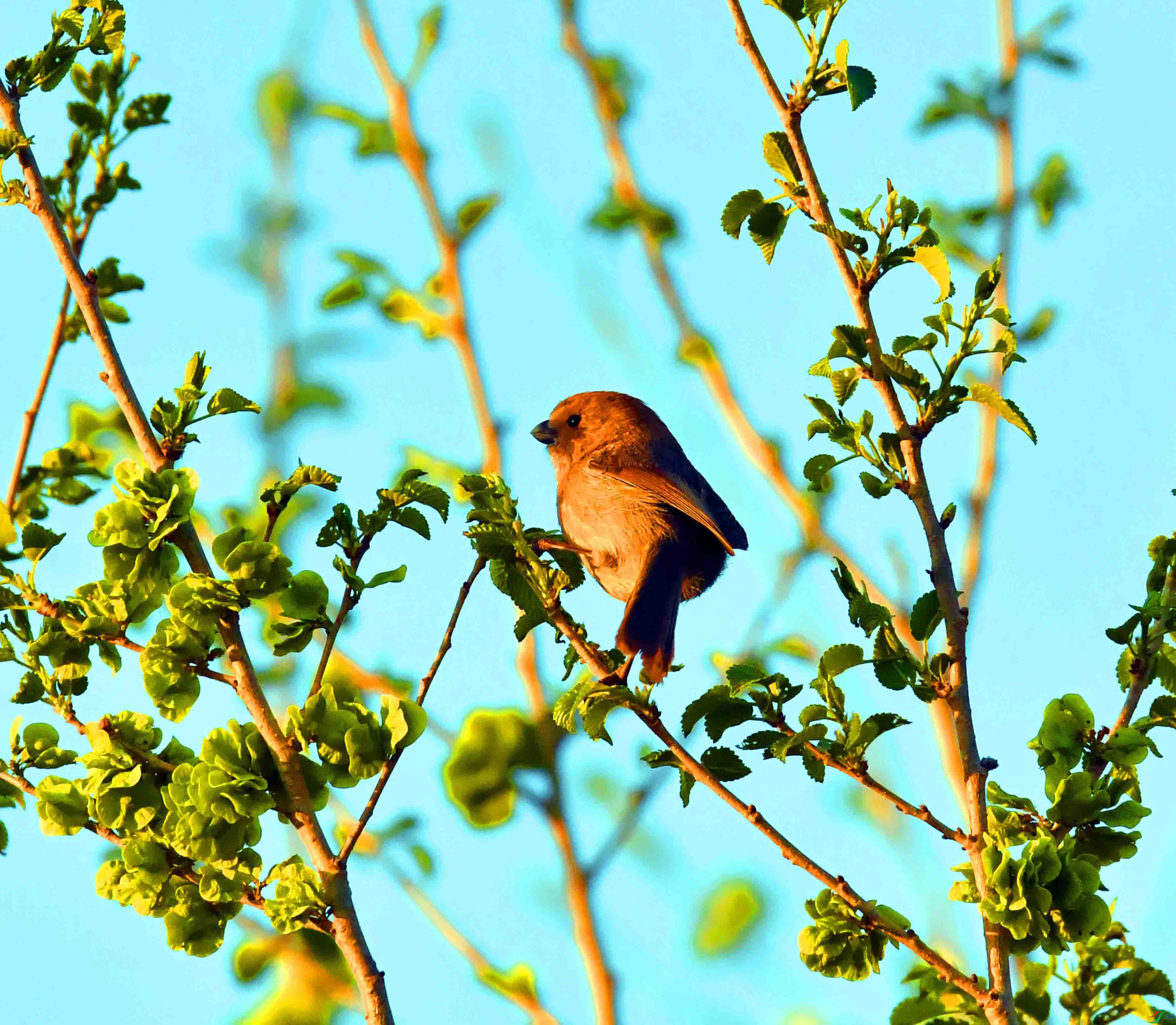 DSC_0989.JPG