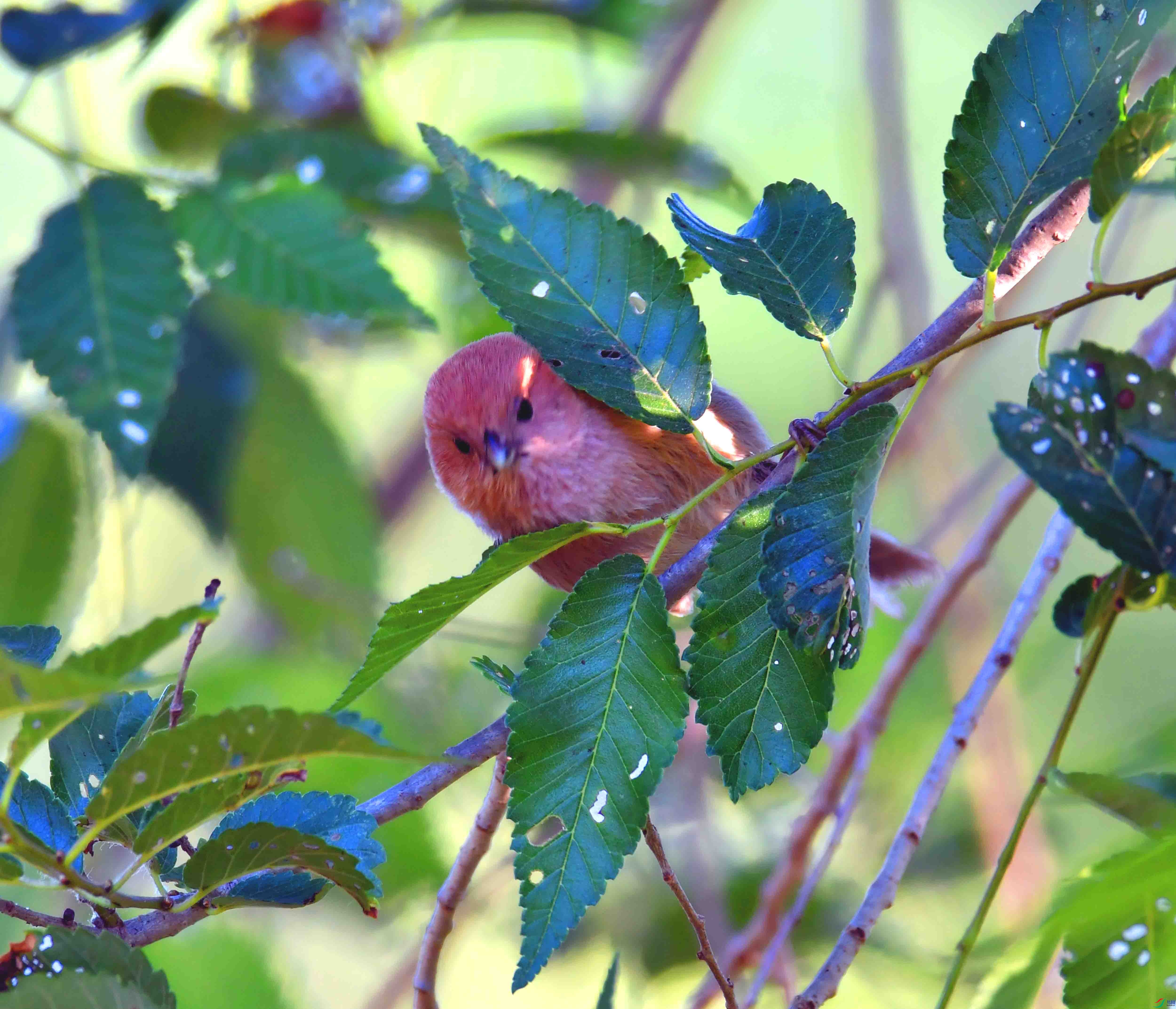 DSC_1209.JPG