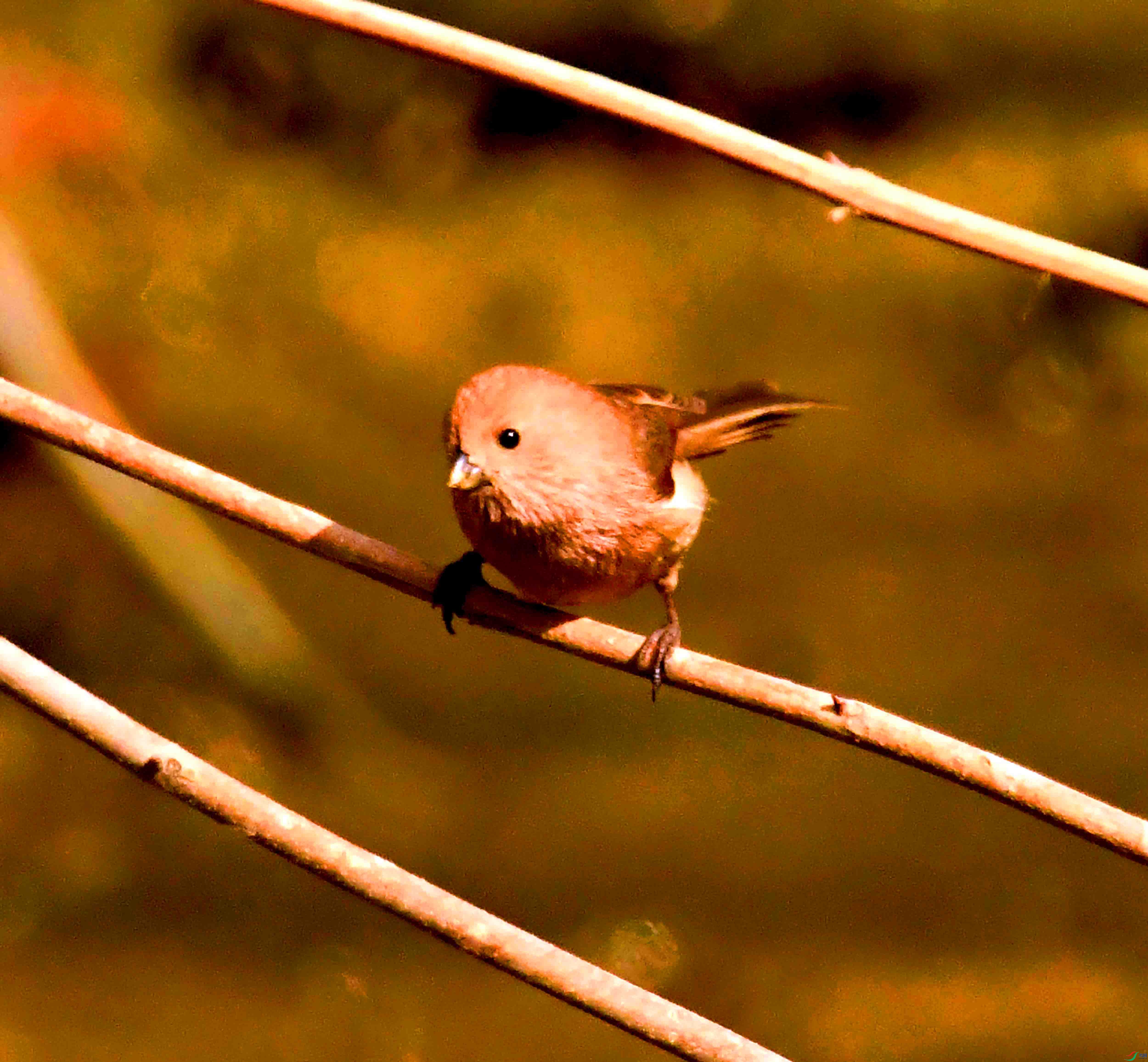 DSC_2094.JPG