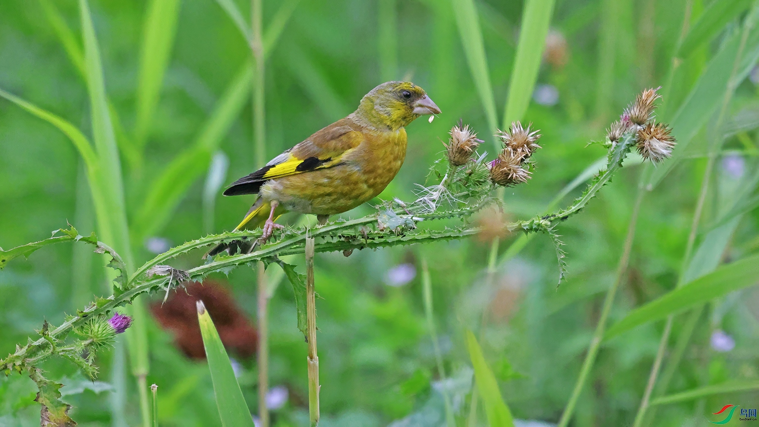 3U2A0128 ���� 2.jpg