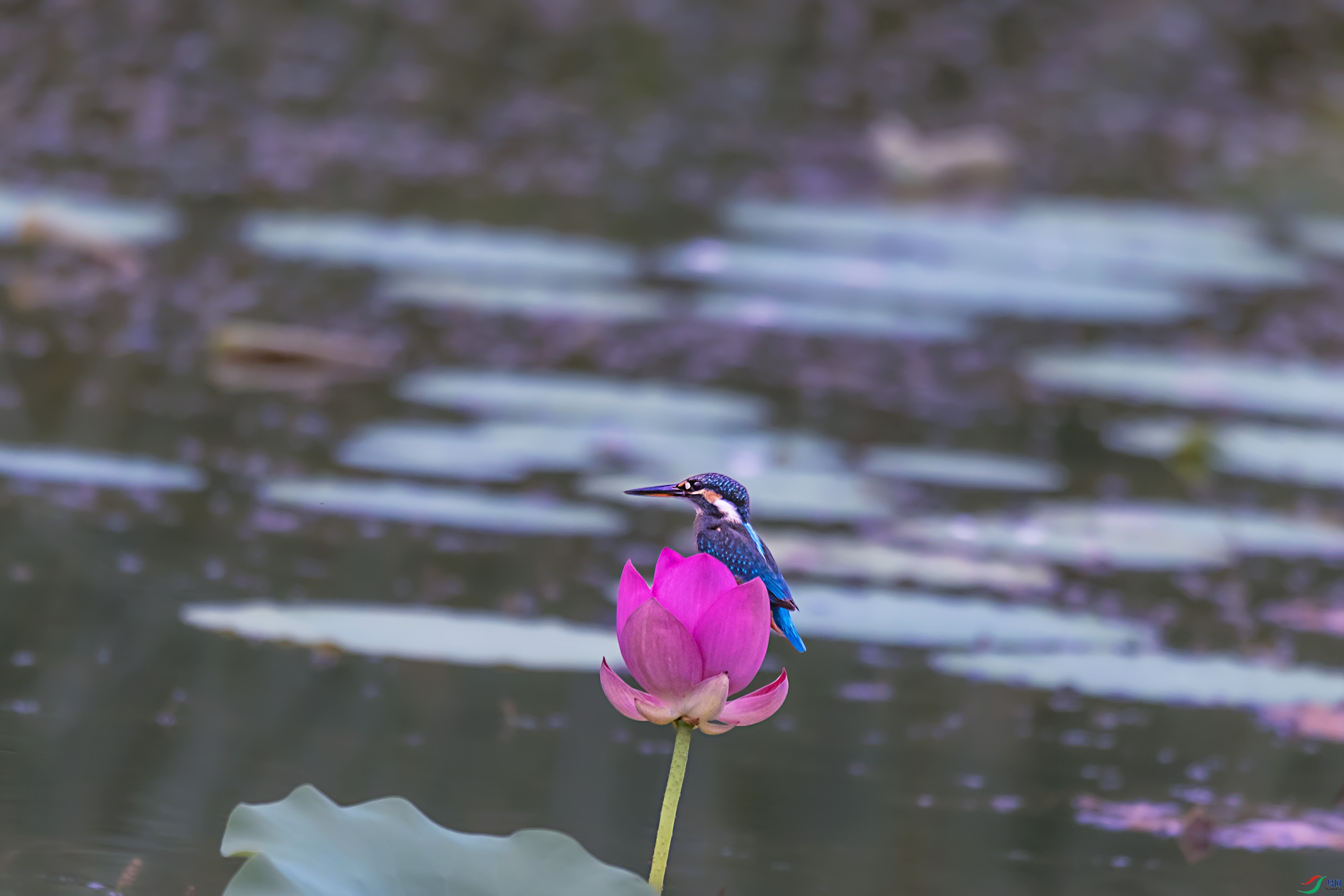 278A8620.jpg