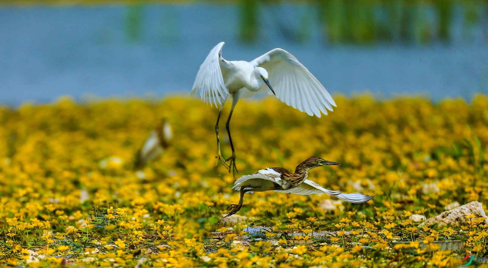 �������y��